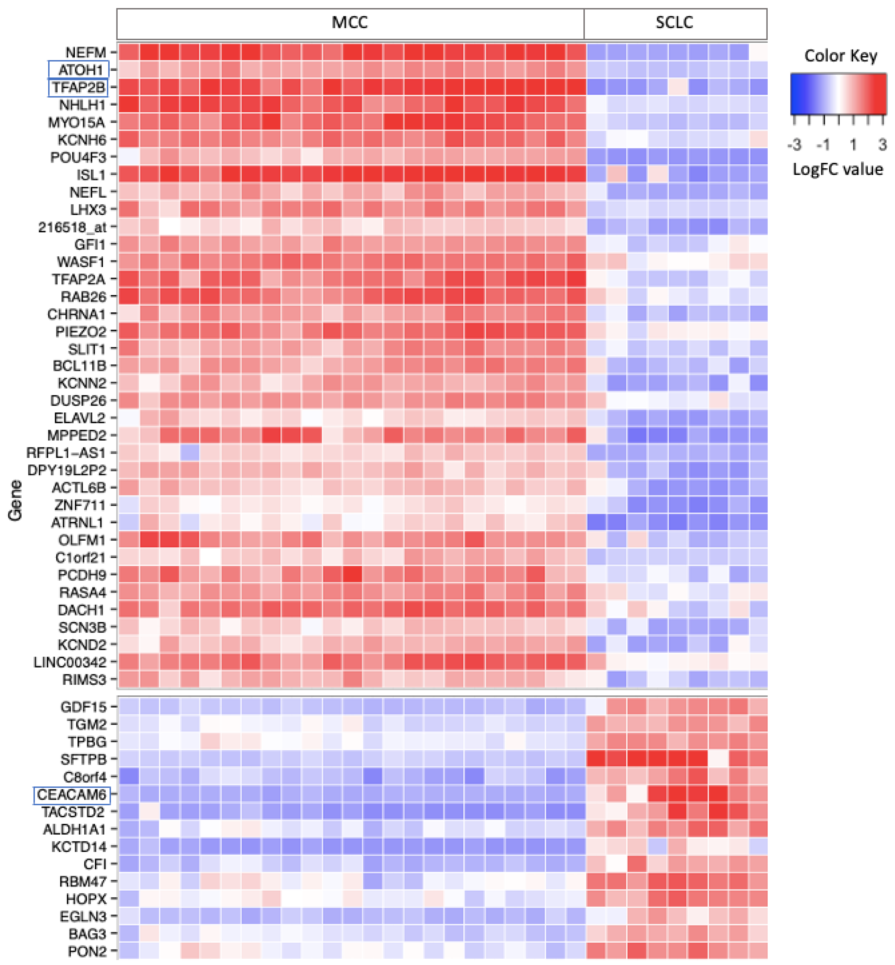 Cancers 16 00788 g001