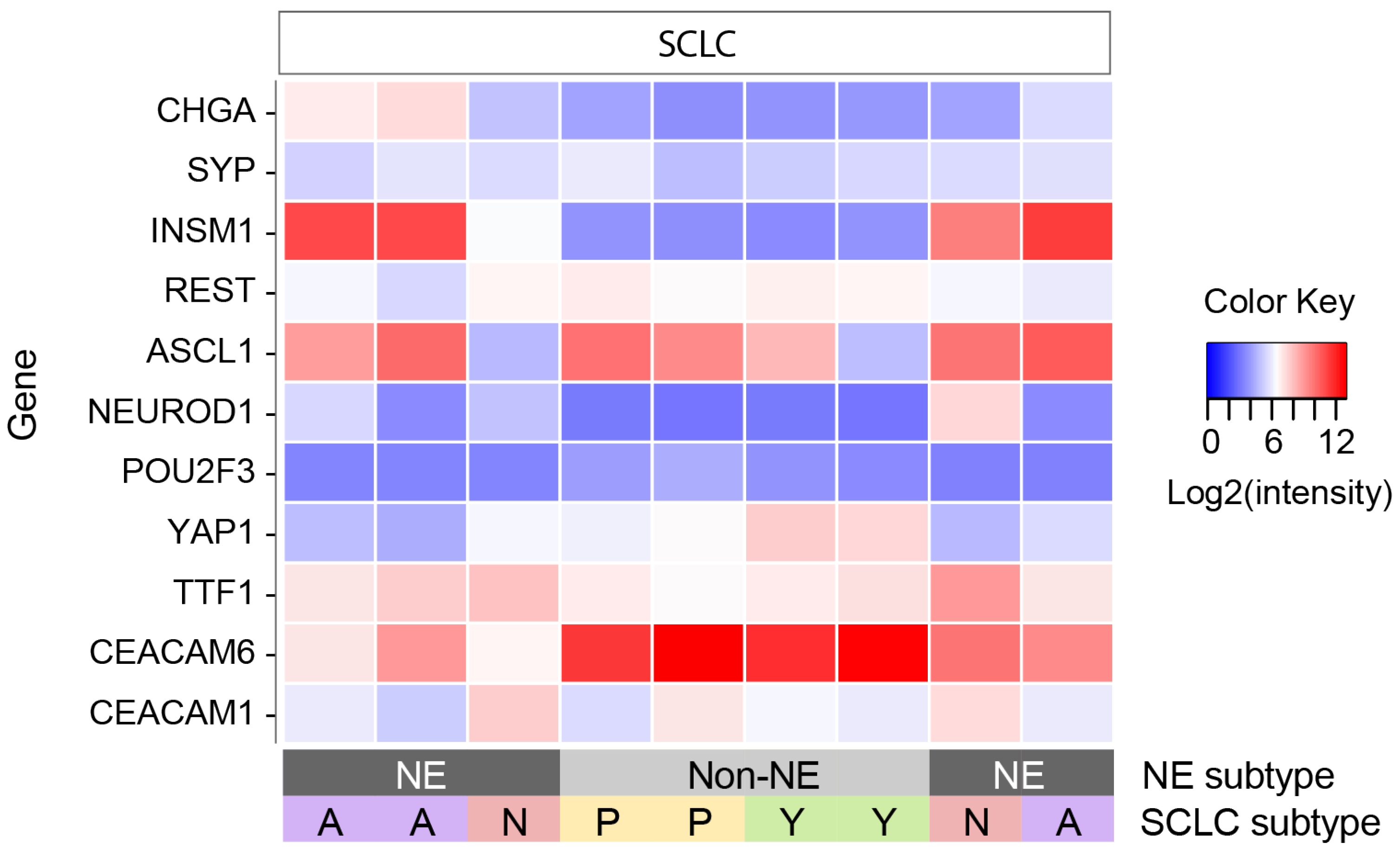 Cancers 16 00788 g002