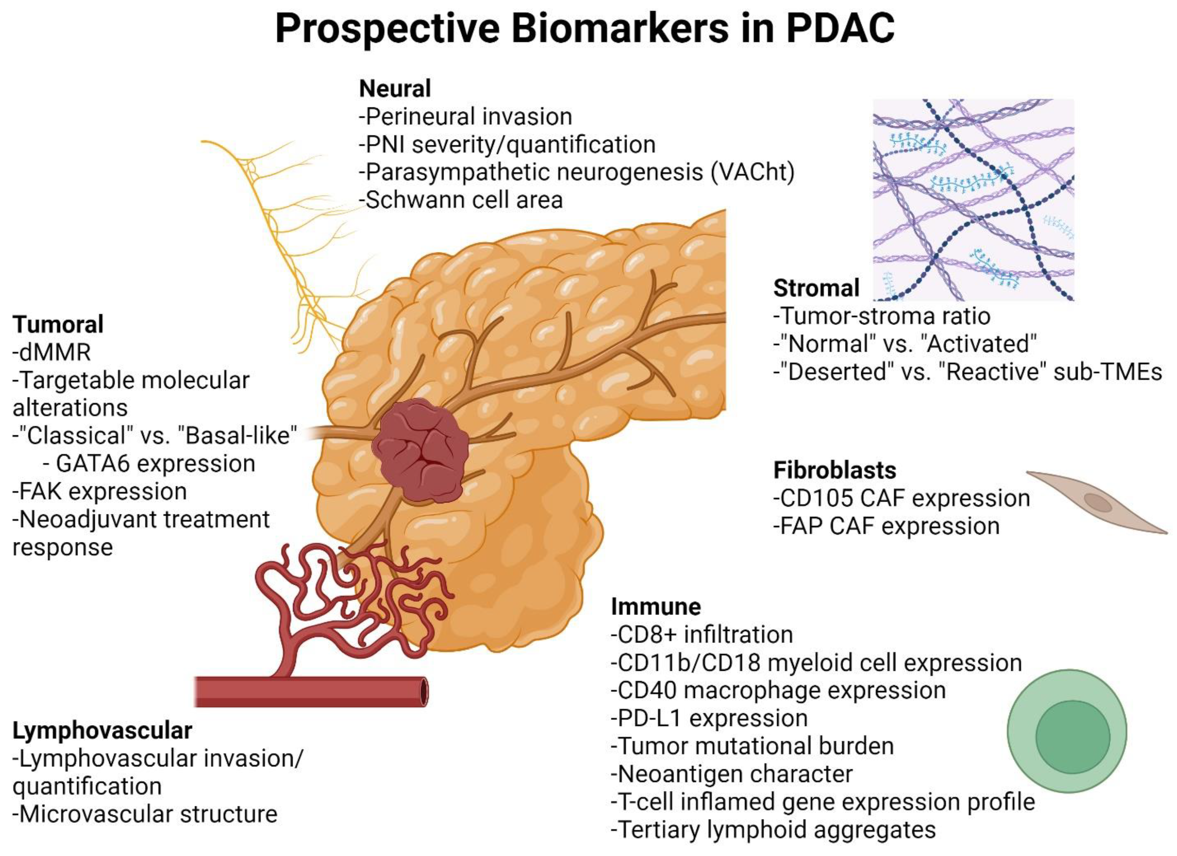 Cancers 16 00794 g001 Cancers 16 00794 g001