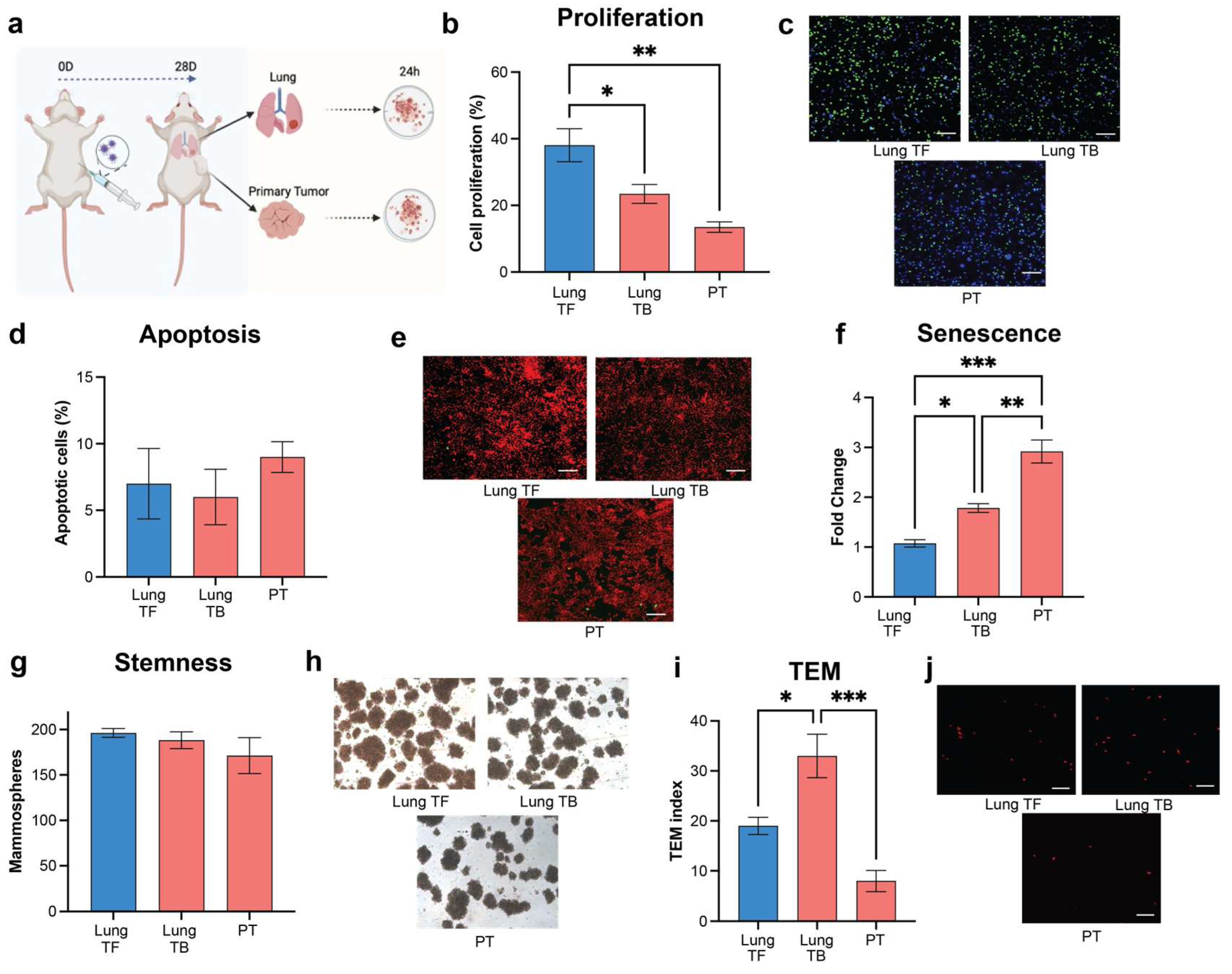 Cancers 16 00796 g002