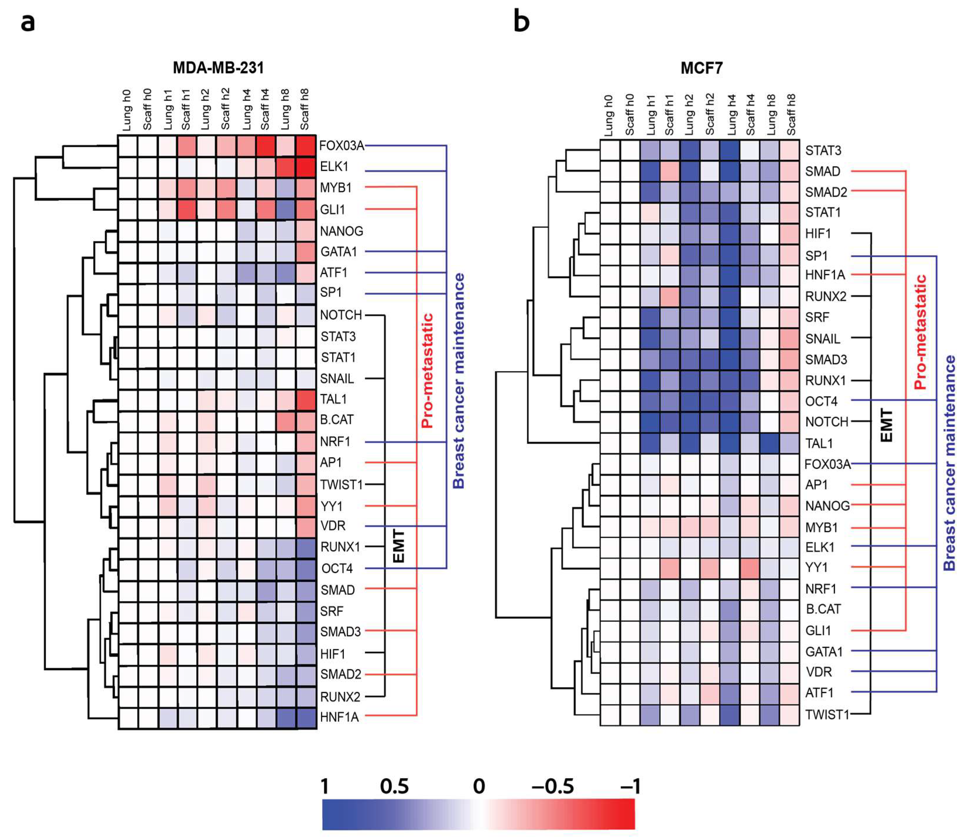 Cancers 16 00796 g008