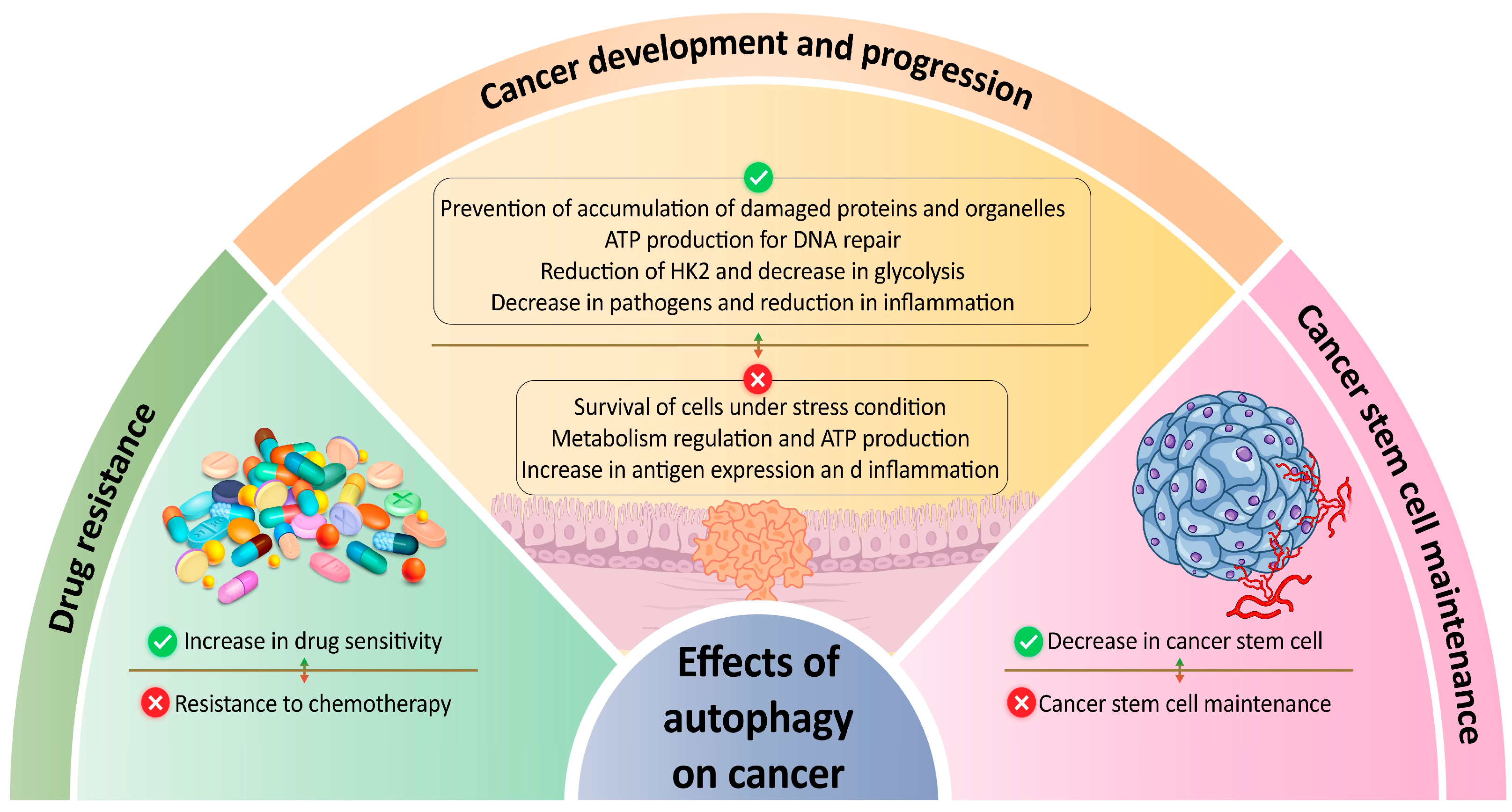 Cancers 16 00807 g002 Cancers 16 00807 g002