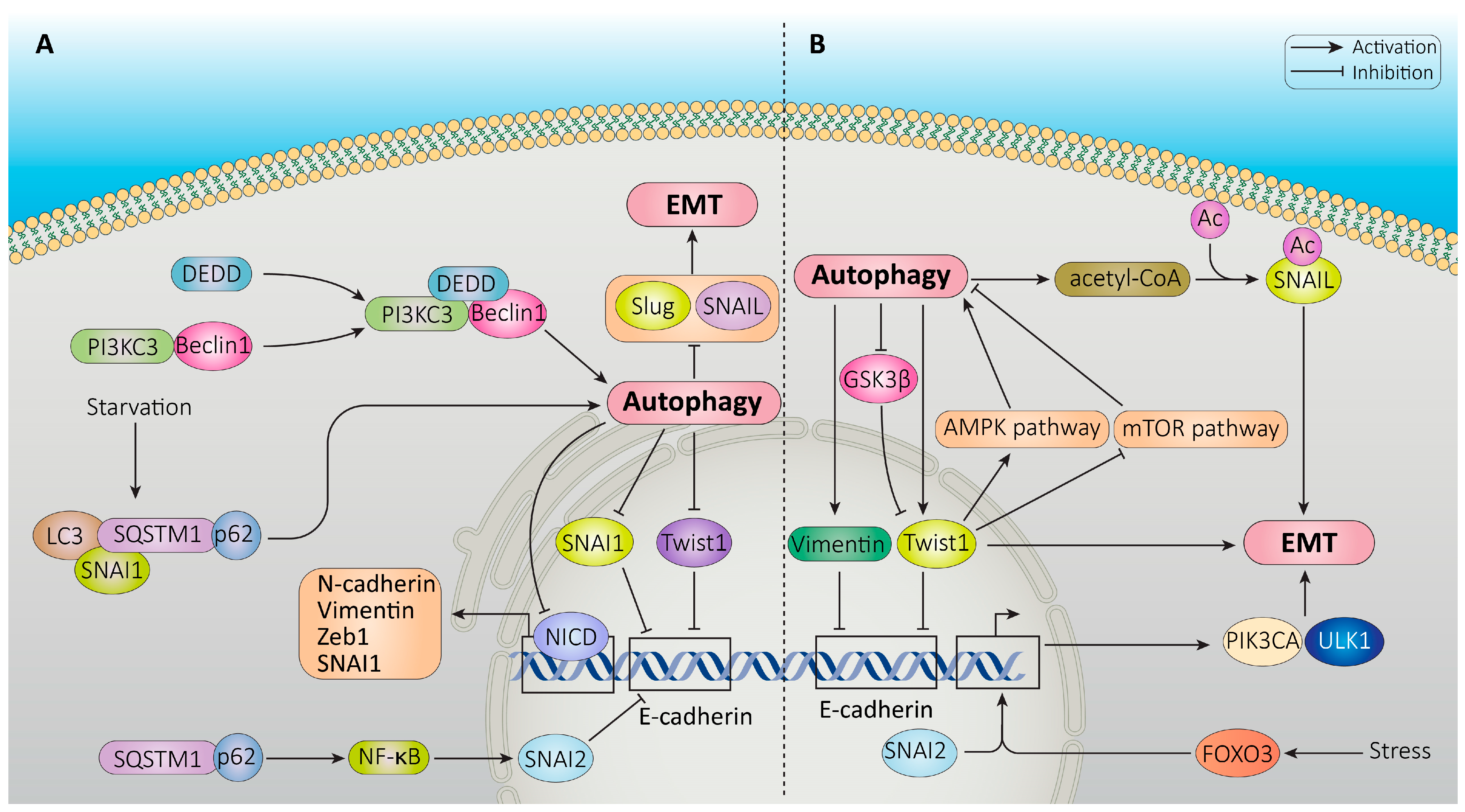 Cancers 16 00807 g006 Cancers 16 00807 g006