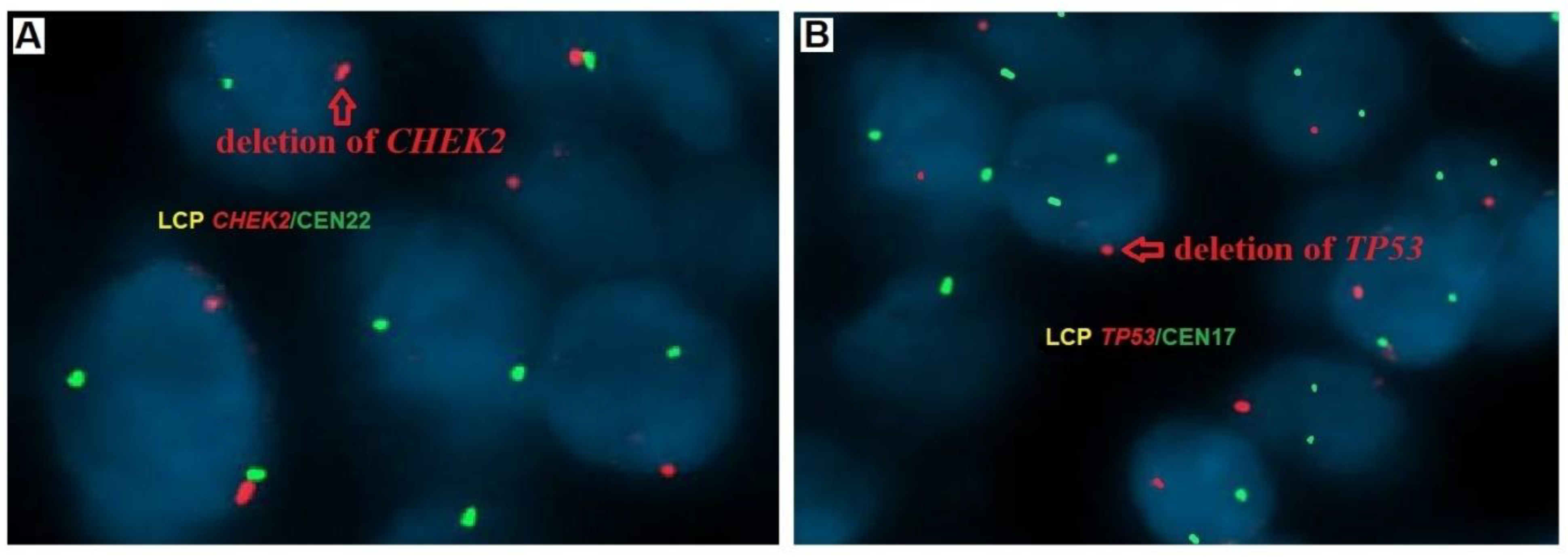 Cancers 16 00815 g001