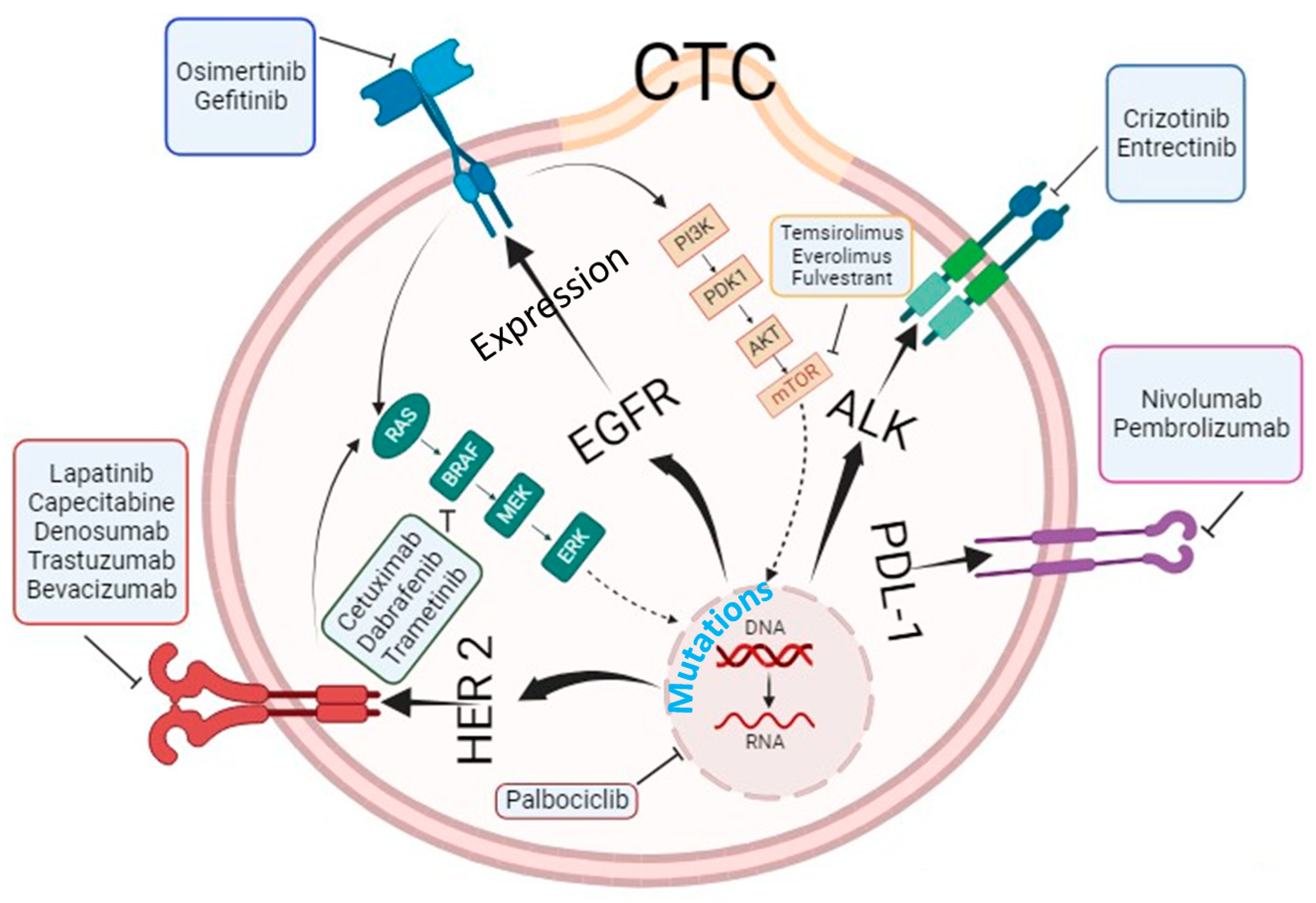 Cancers 16 00816 g002 Cancers 16 00816 g002