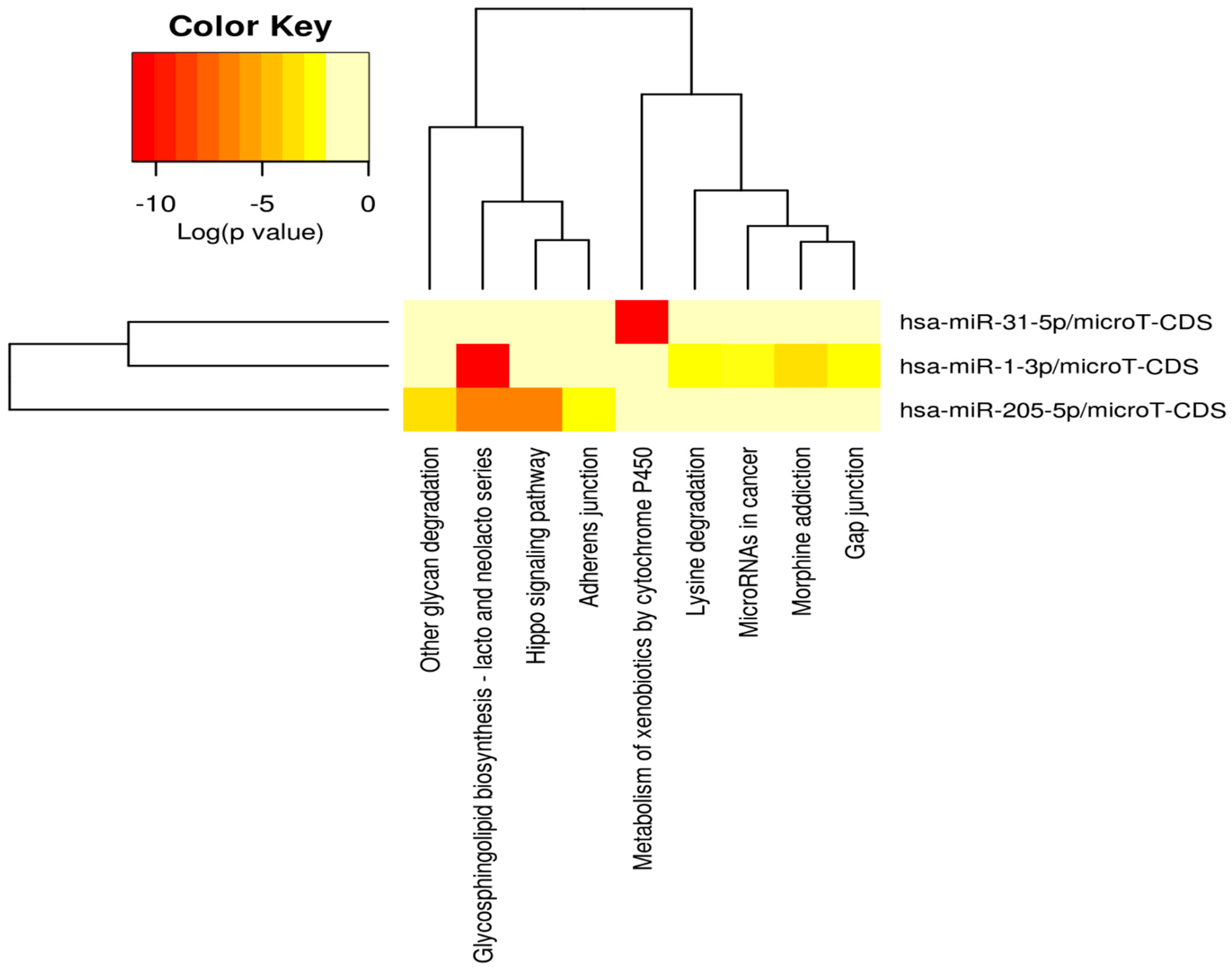 Cancers 16 00824 g009