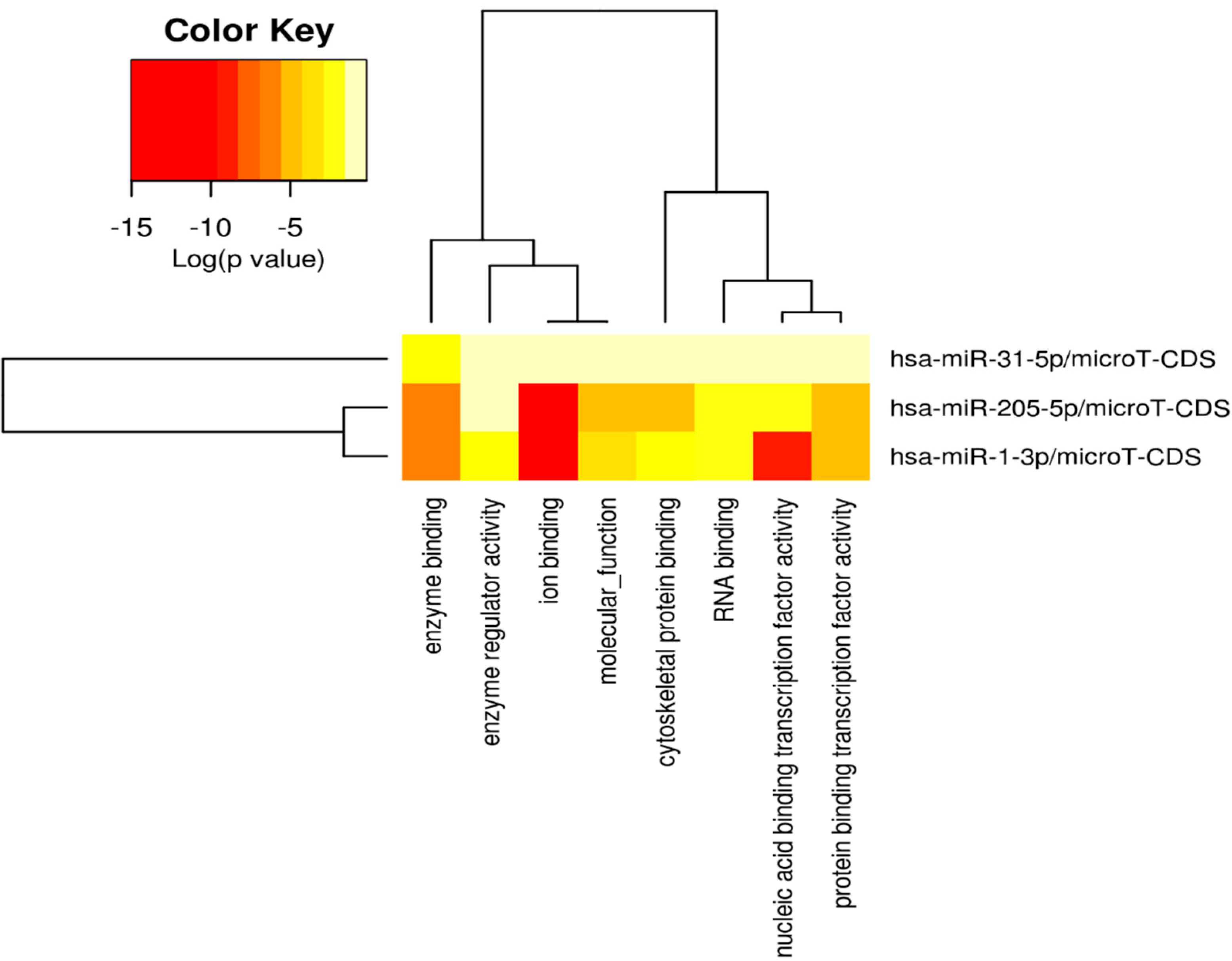Cancers 16 00824 g011