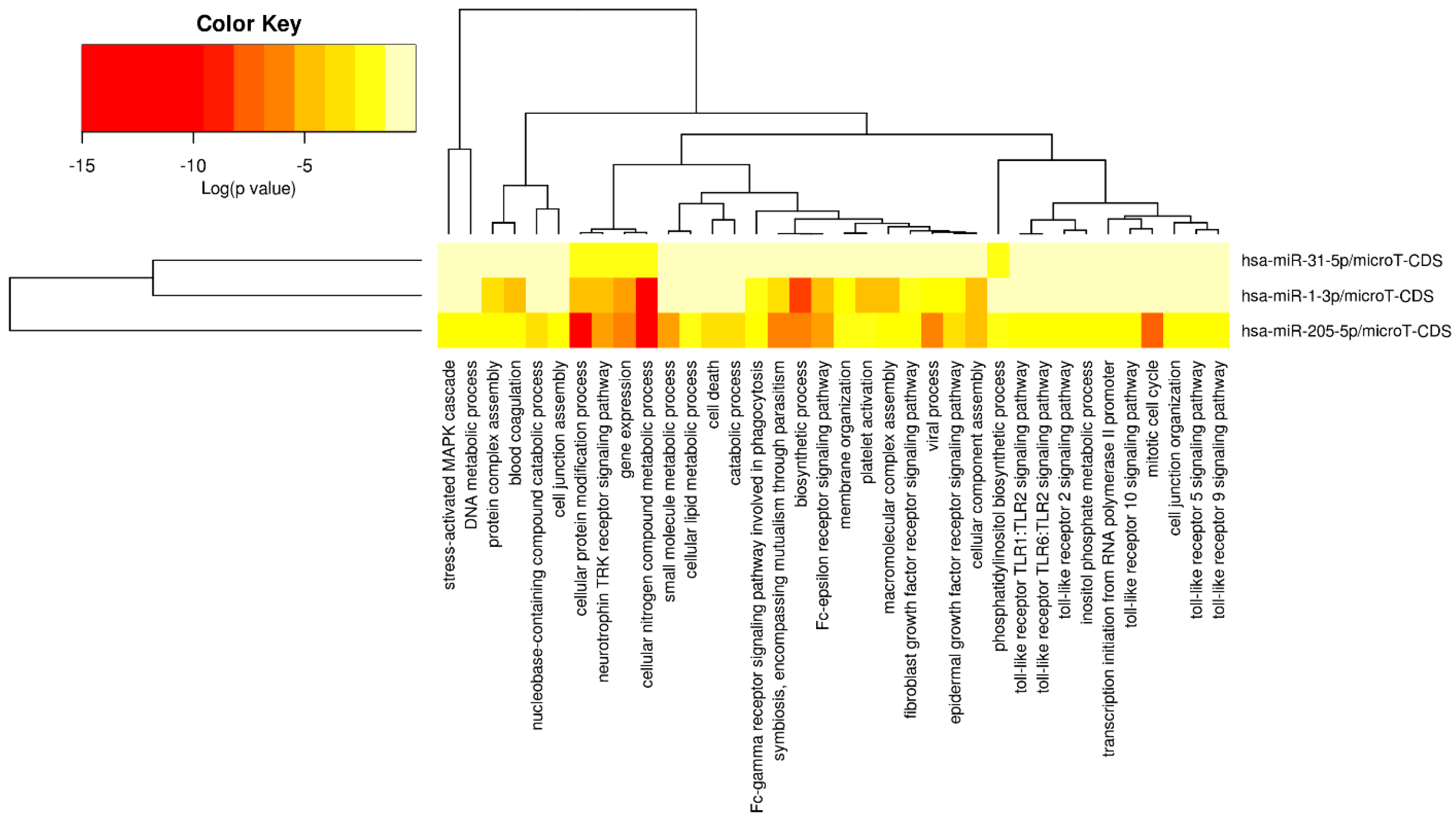 Cancers 16 00824 g012