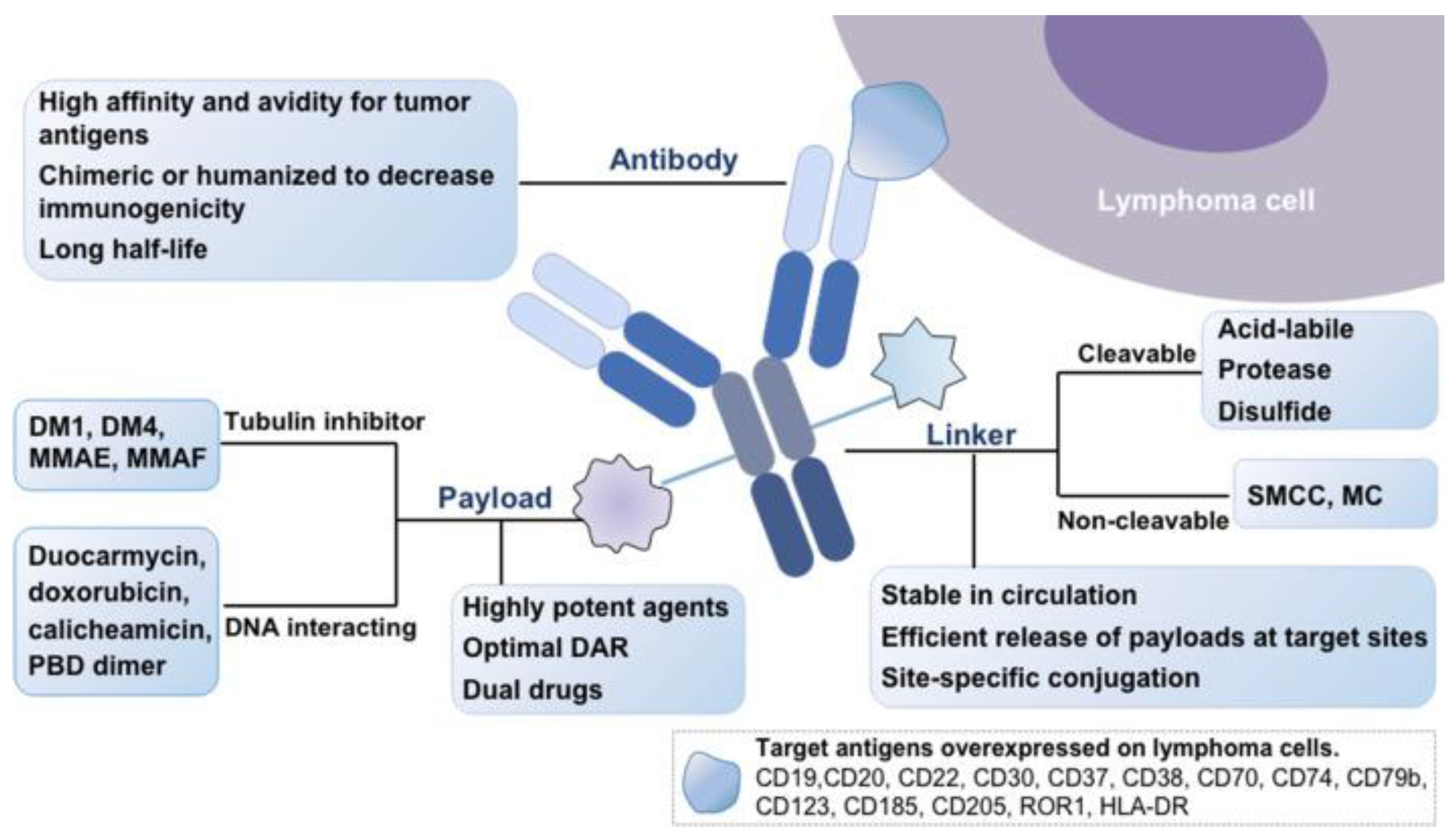 Cancers 16 00827 g002