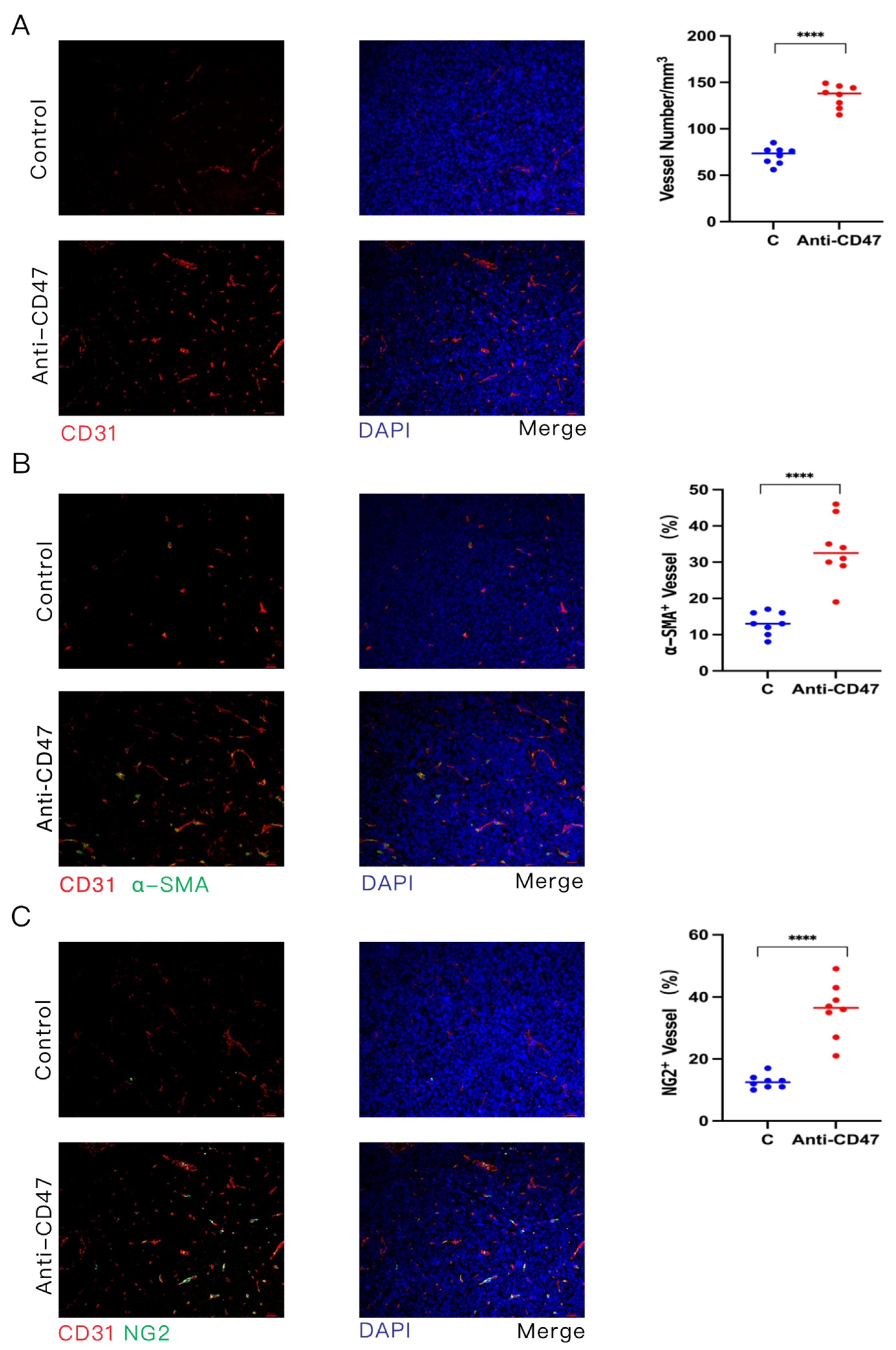 Cancers 16 00832 g004