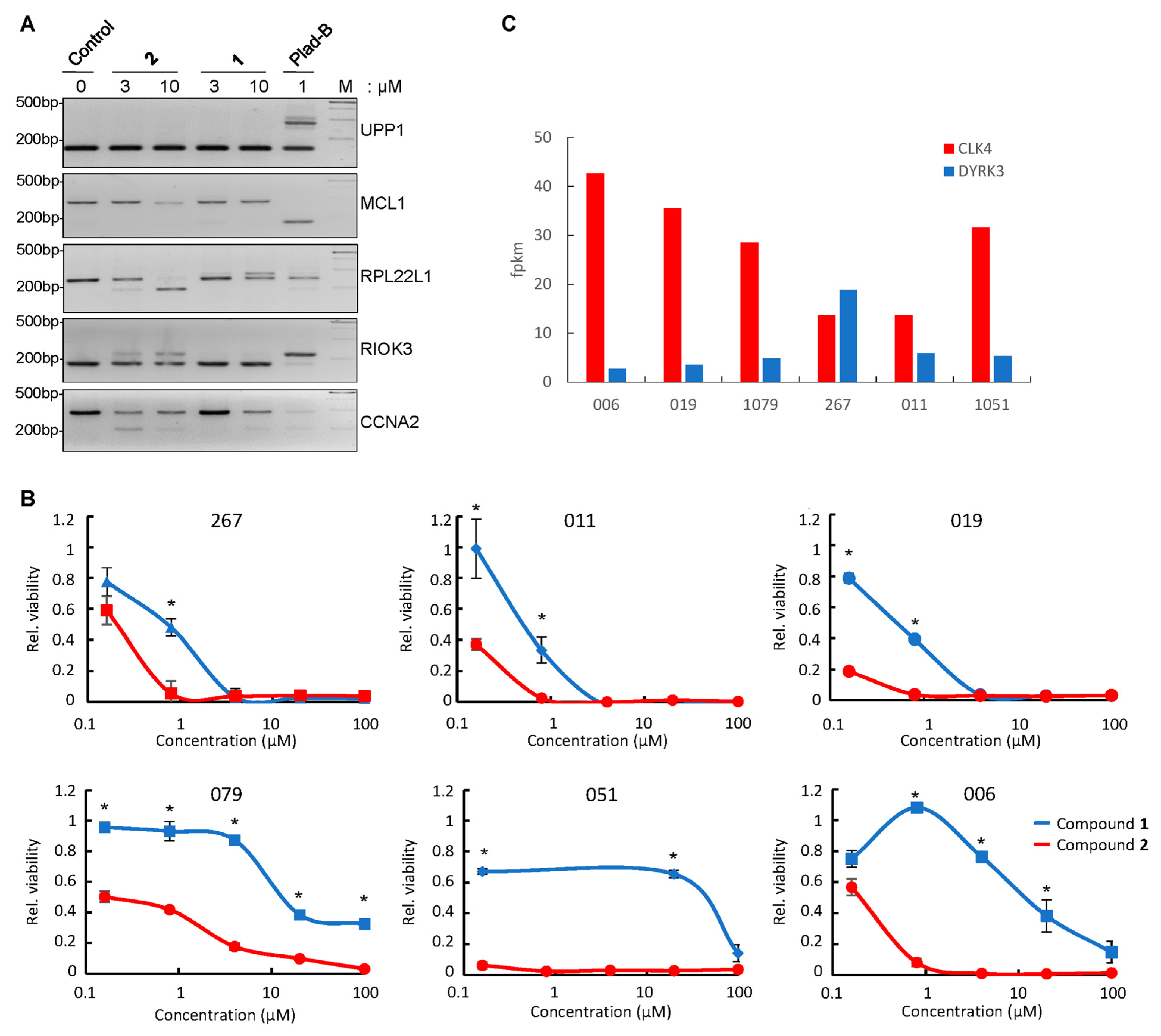 Cancers 16 00834 g005