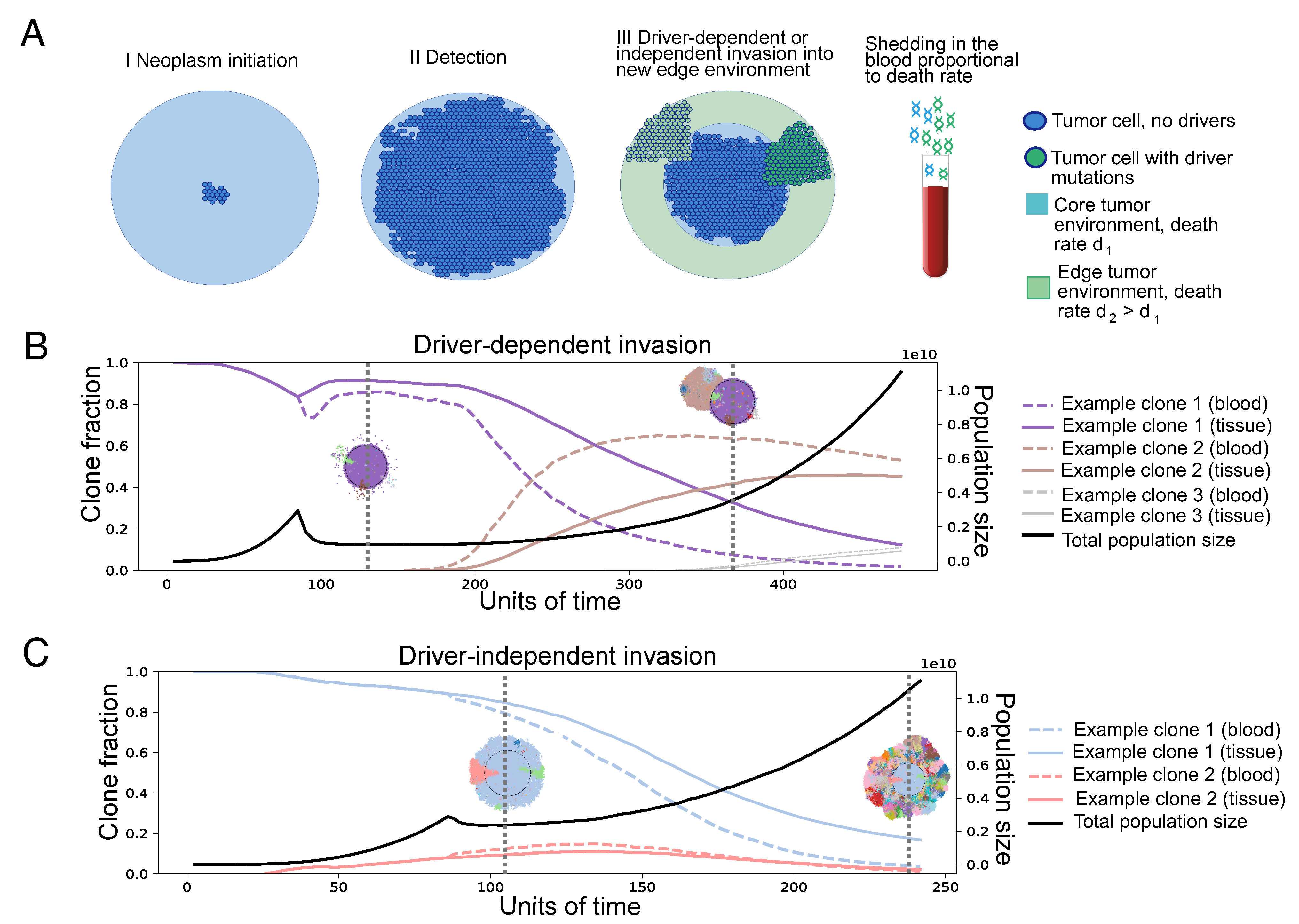 Cancers 16 00844 g001