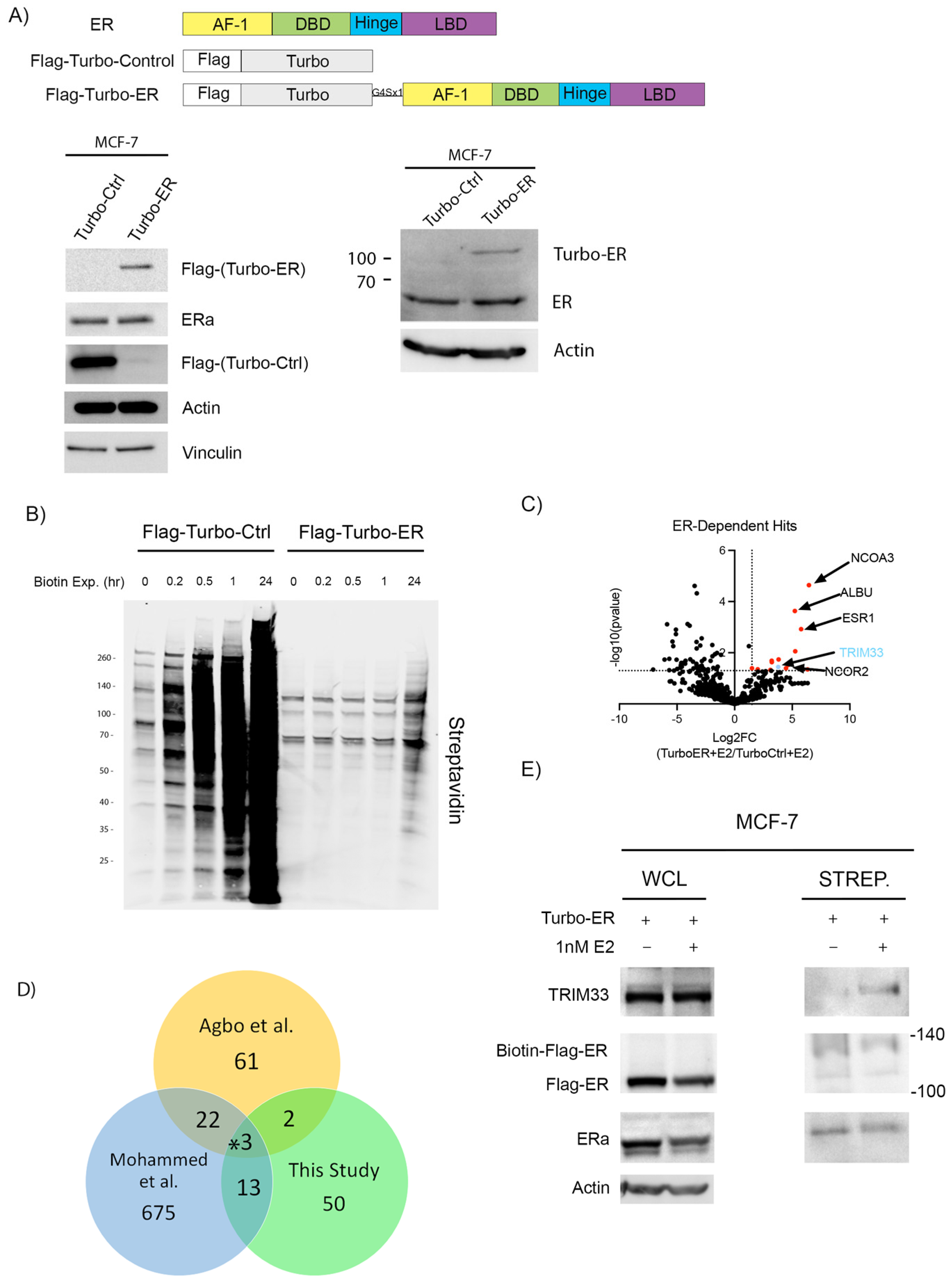 Cancers 16 00845 g001