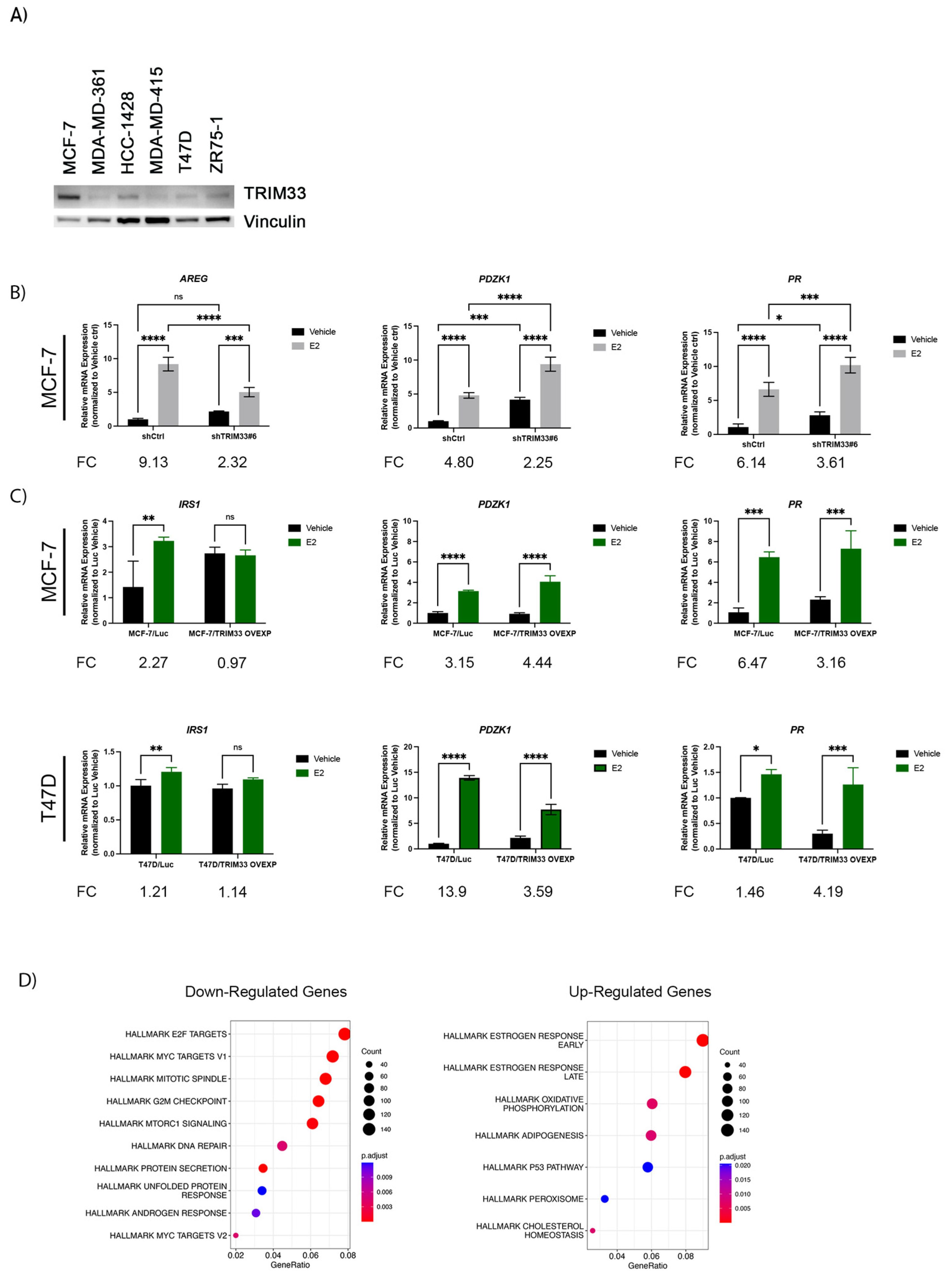 Cancers 16 00845 g002