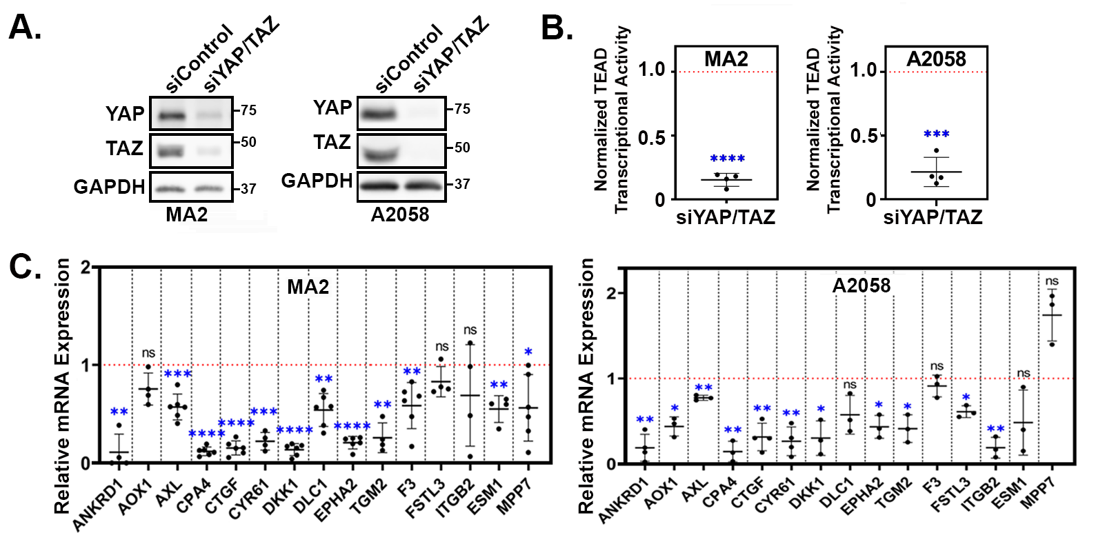Cancers 16 00852 g003