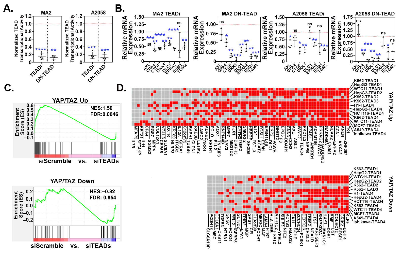 Cancers 16 00852 g004