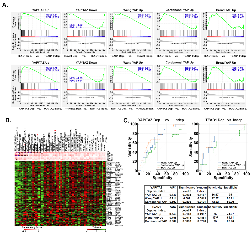 Cancers 16 00852 g005