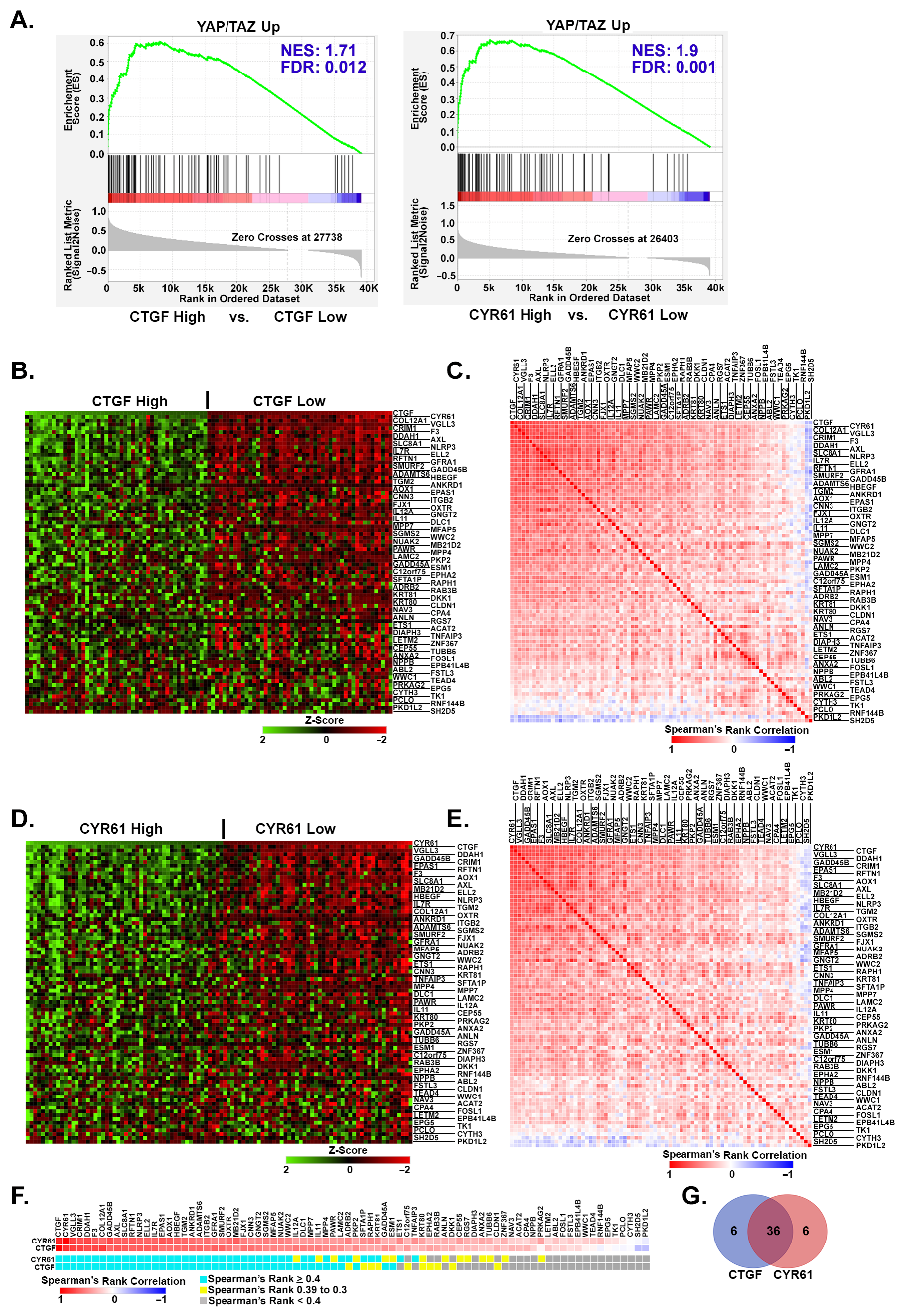 Cancers 16 00852 g006