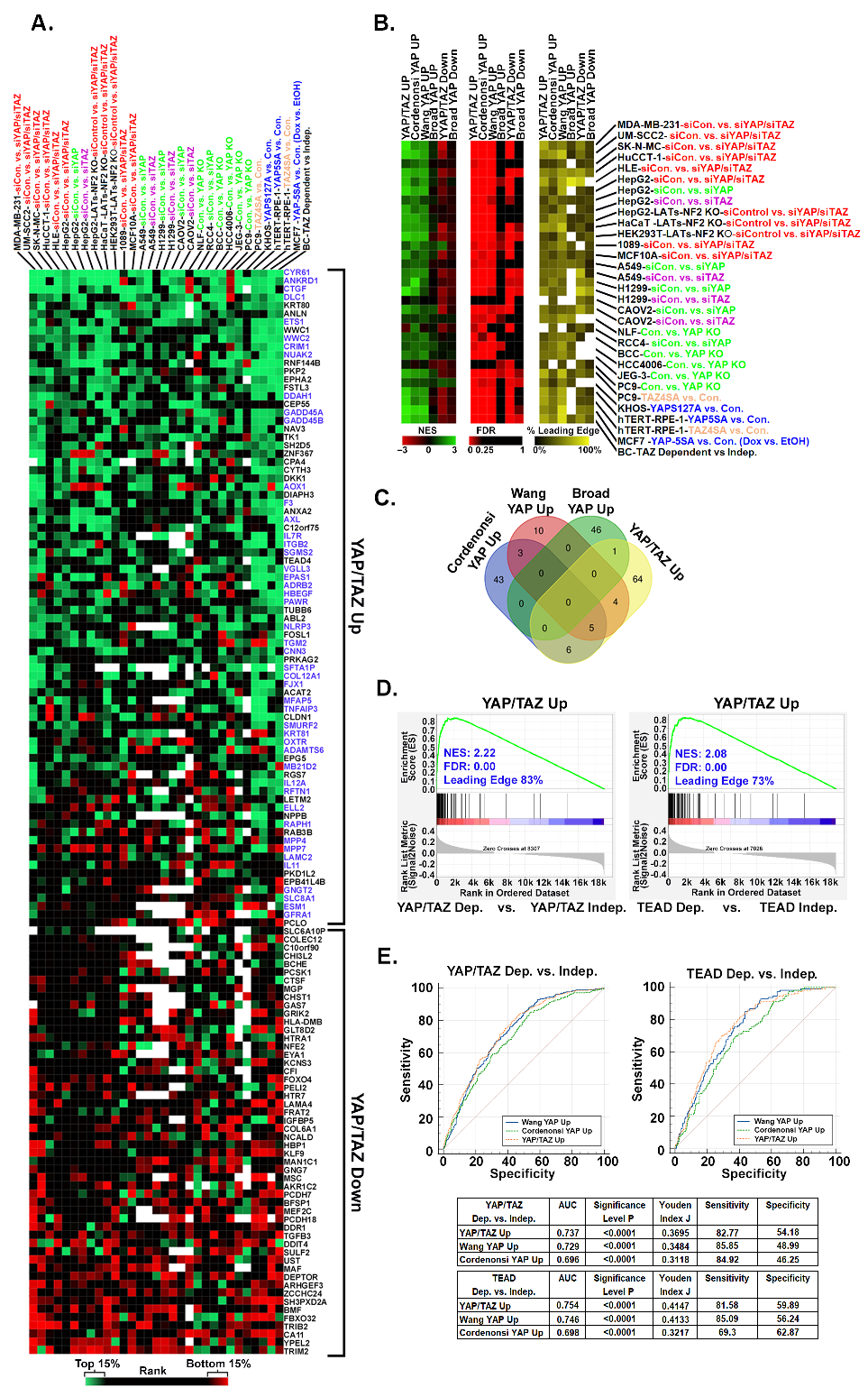 Cancers 16 00852 g007