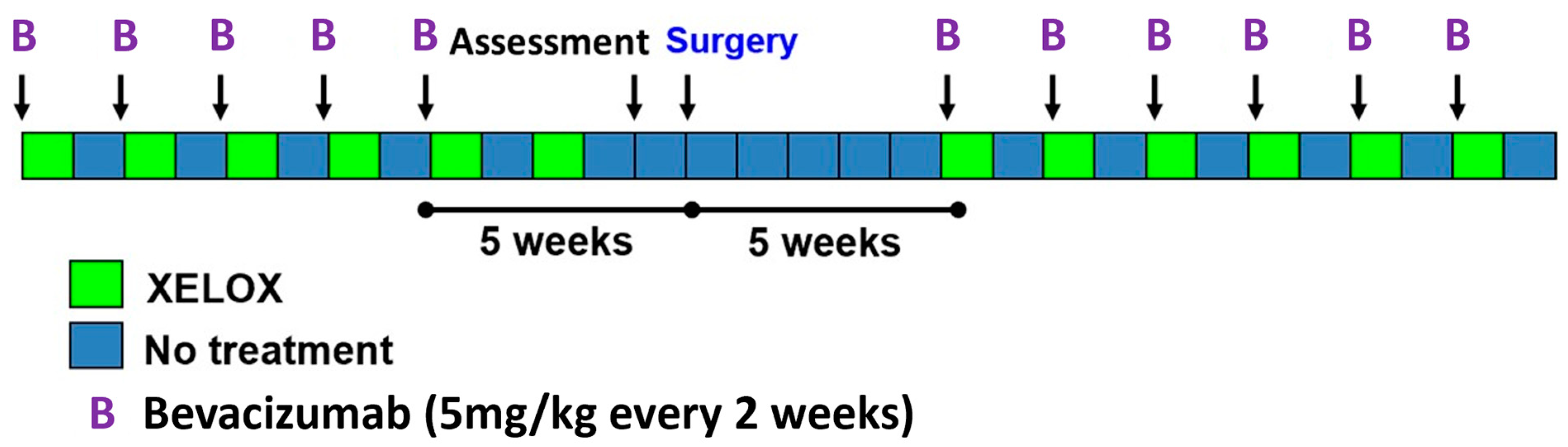 Cancers 16 00857 g001