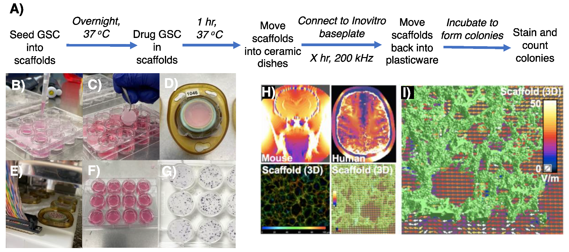 Cancers 16 00863 g002