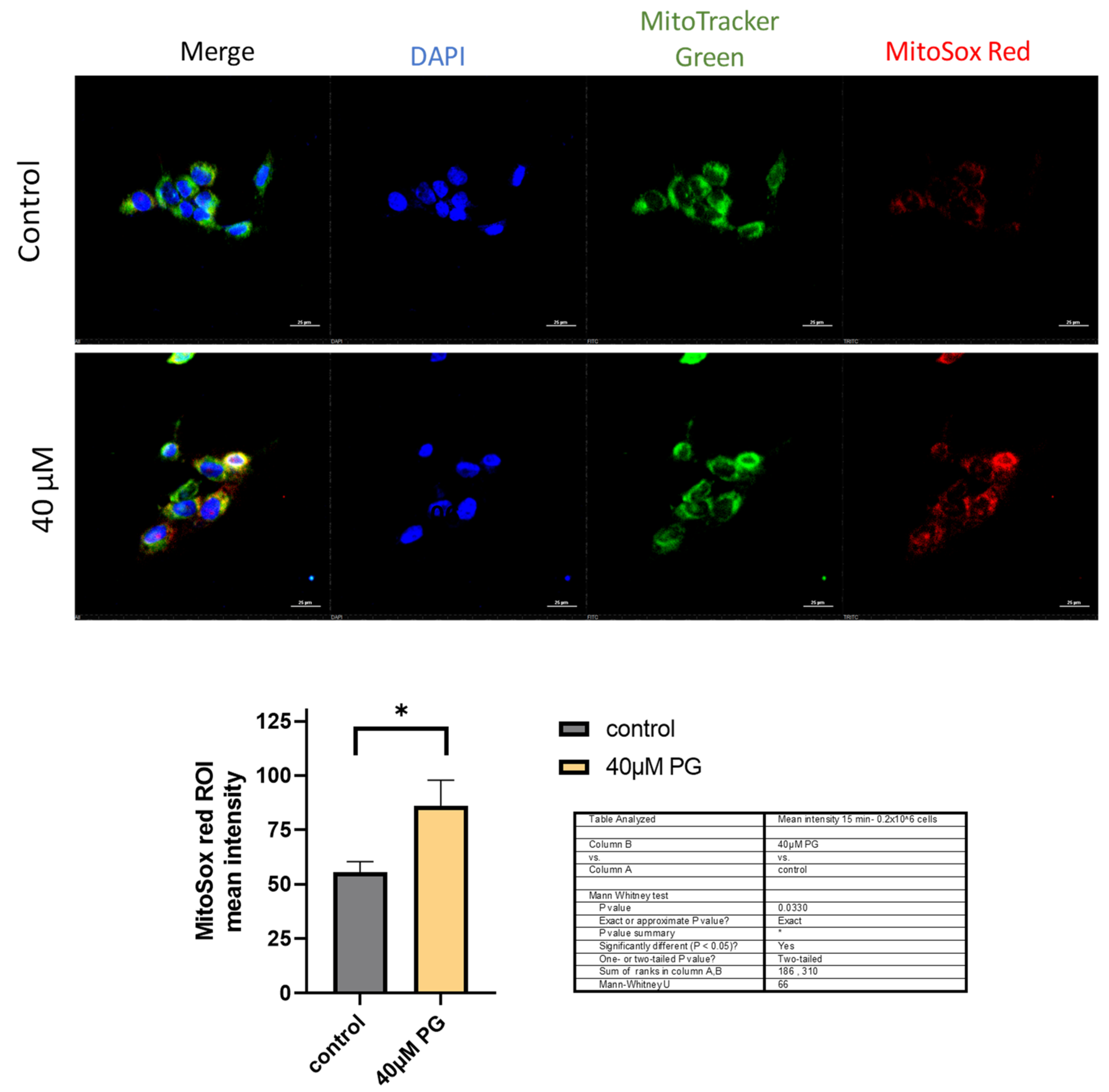 Cancers 16 00872 g005 Cancers 16 00872 g005