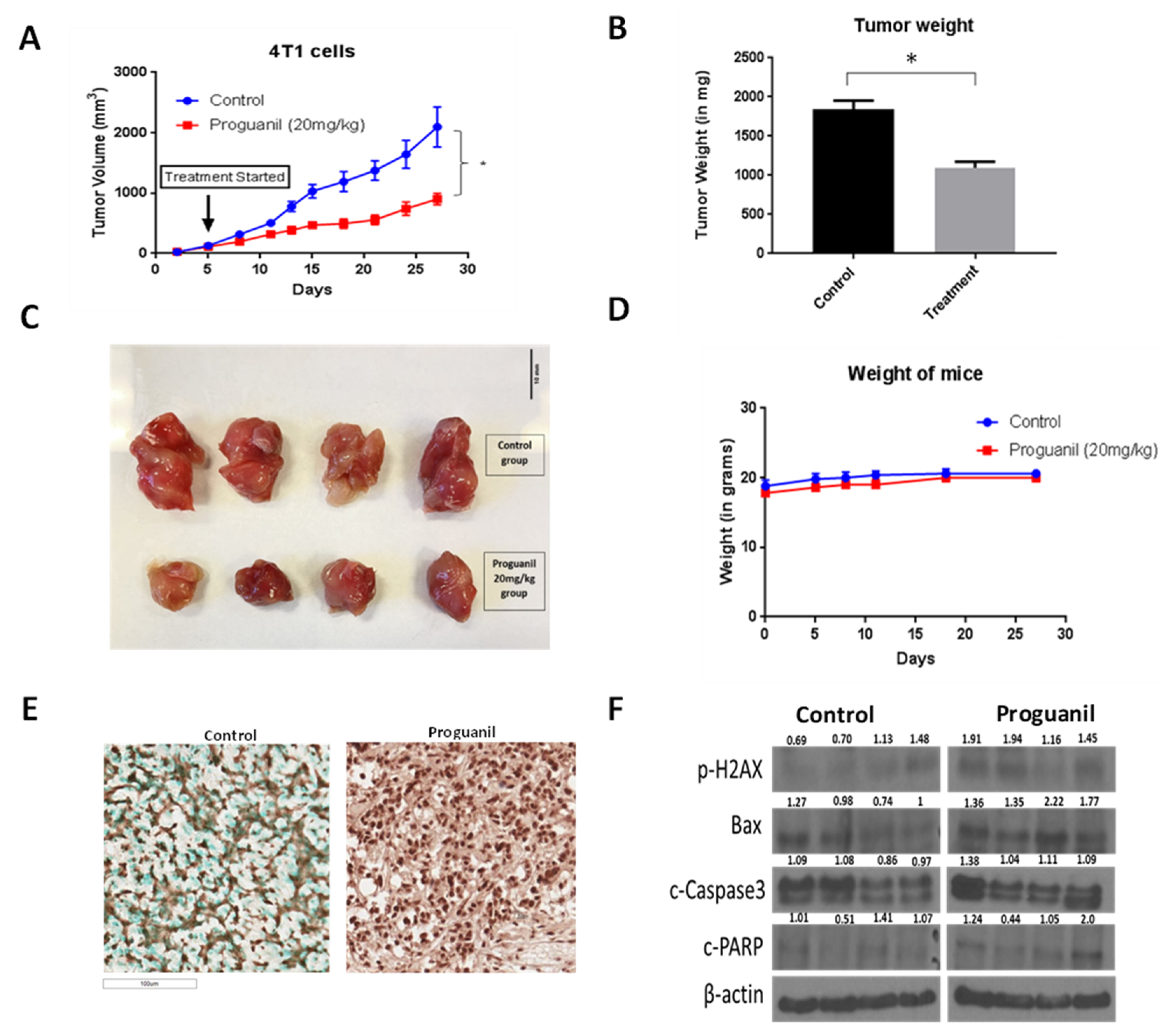 Cancers 16 00872 g009 Cancers 16 00872 g009