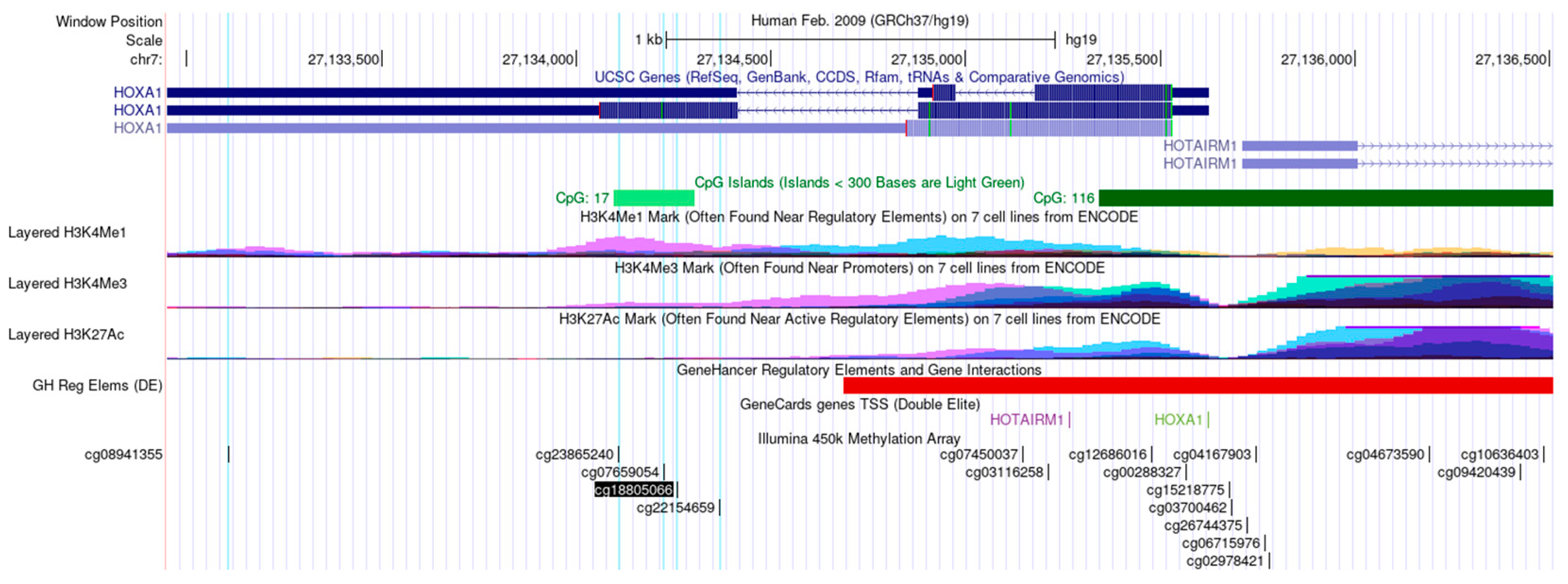 Cancers 16 00874 g001 Cancers 16 00874 g001