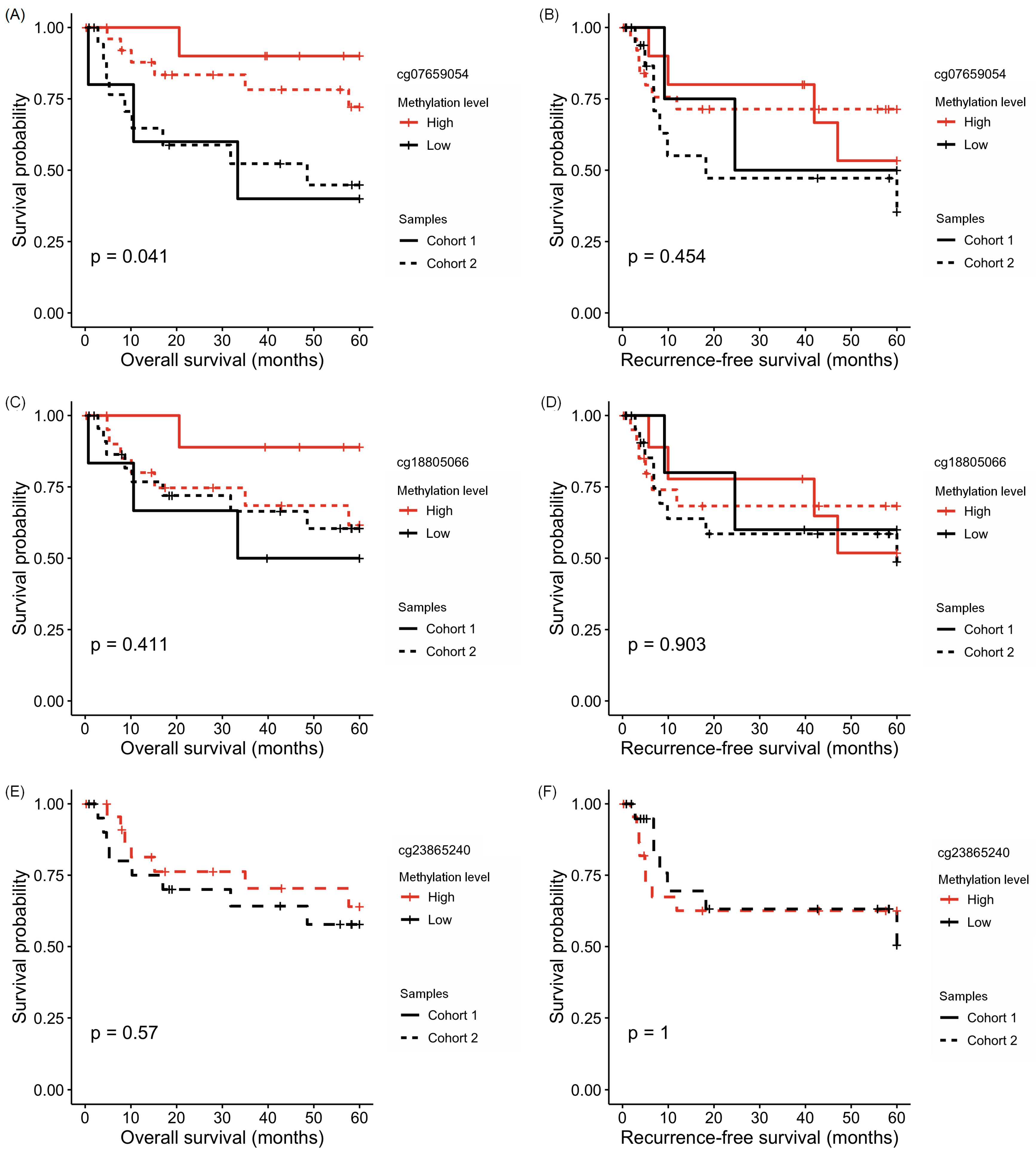 Cancers 16 00874 g005 Cancers 16 00874 g005