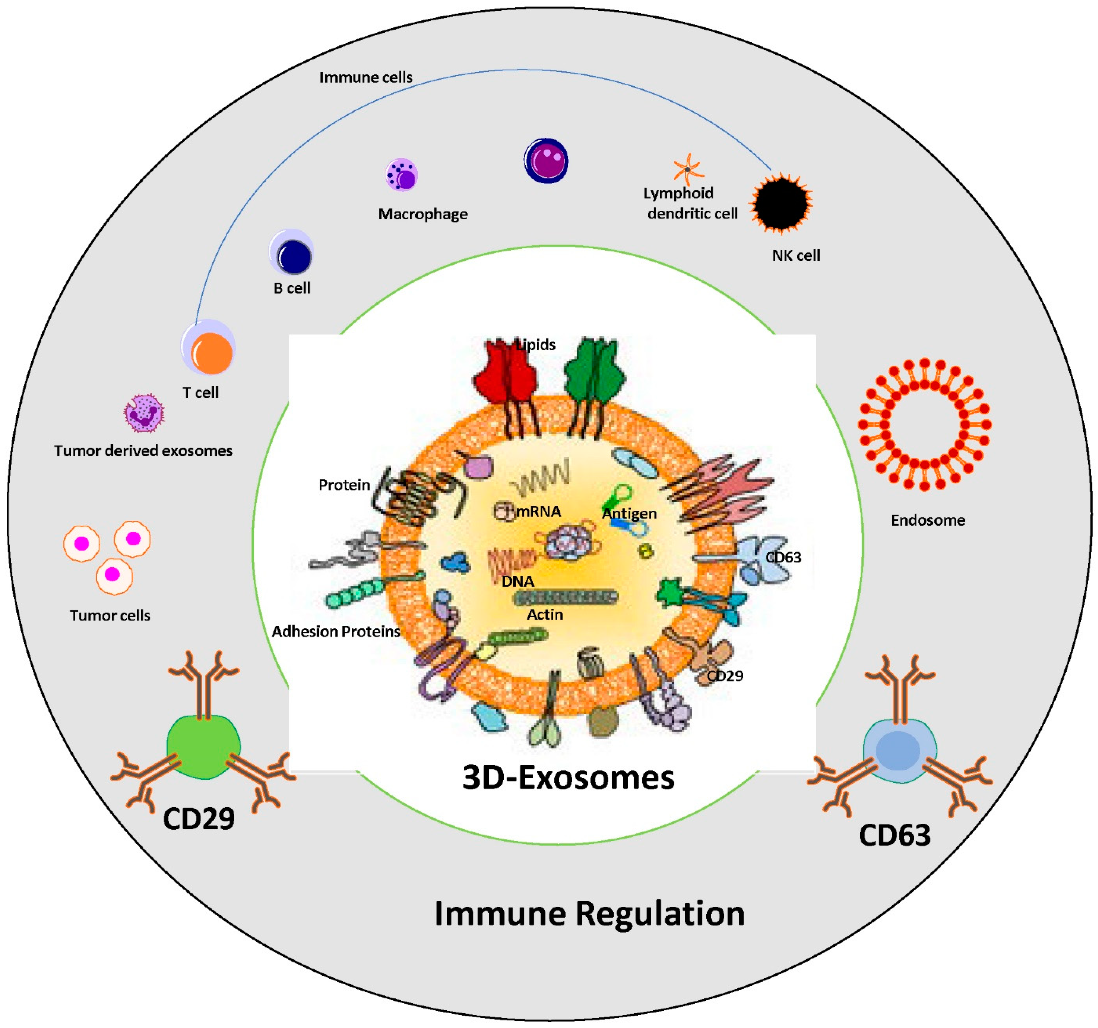 Cancers 16 00883 g002