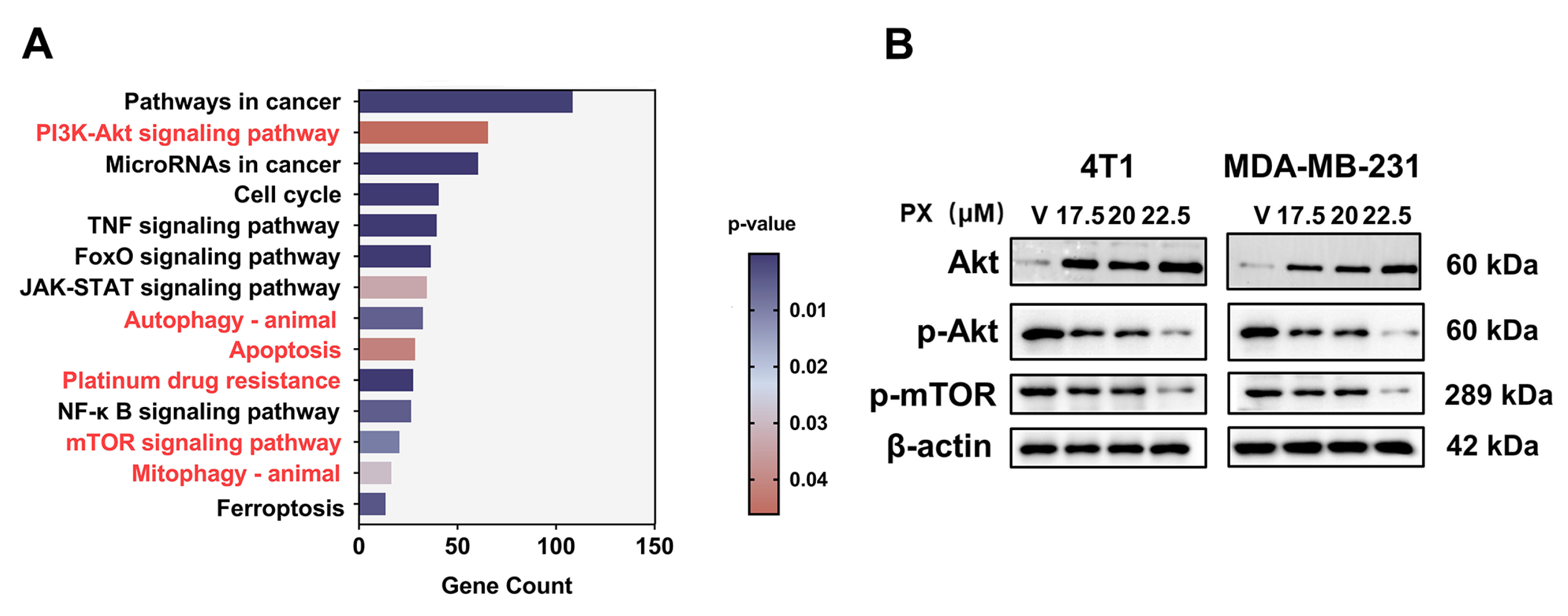 Cancers 16 00885 g004