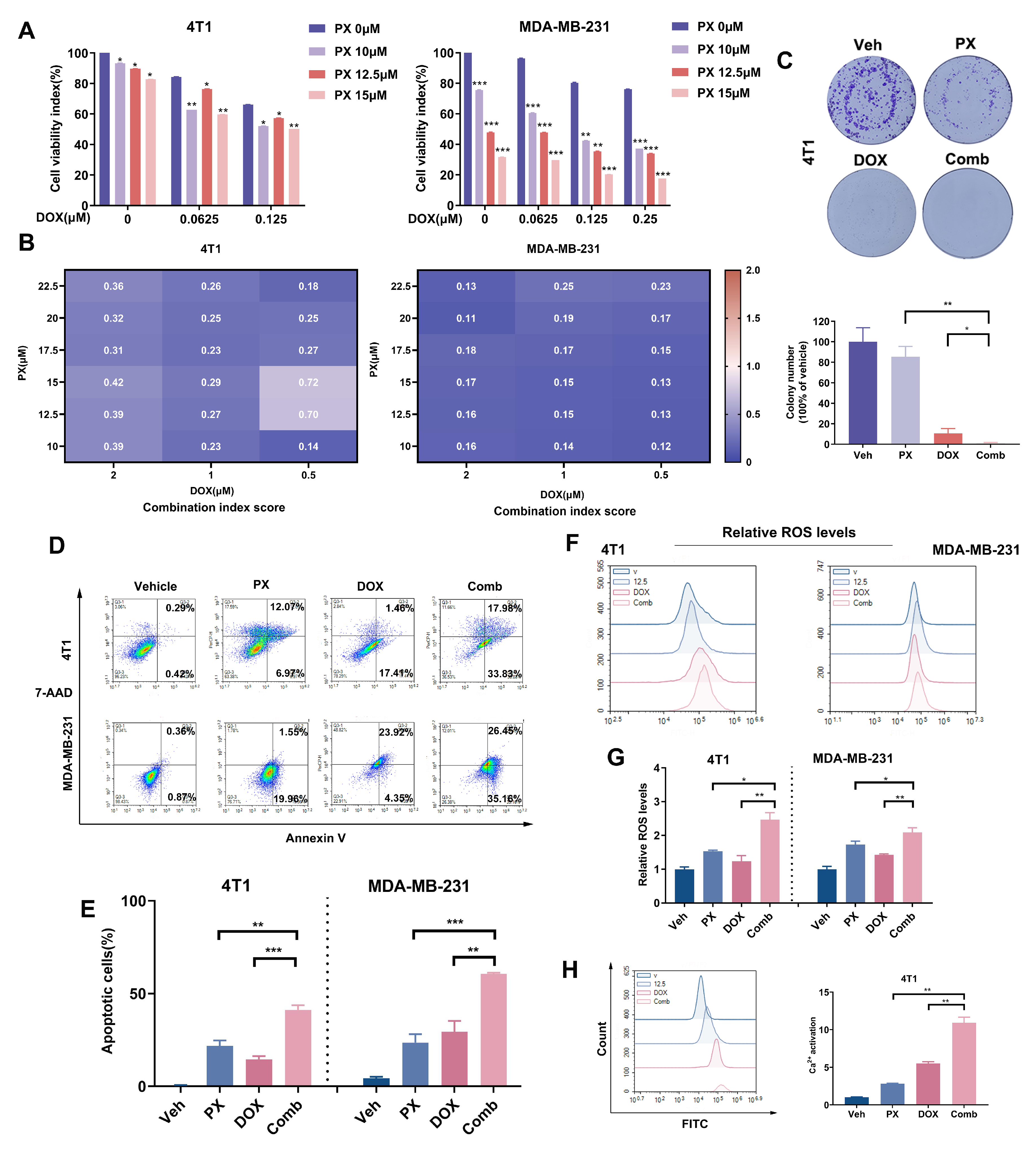 Cancers 16 00885 g005
