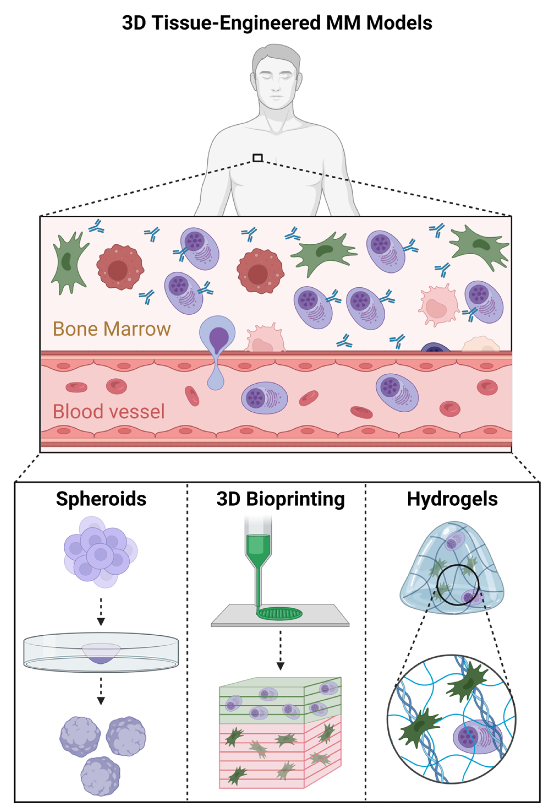 Cancers 16 00889 g002