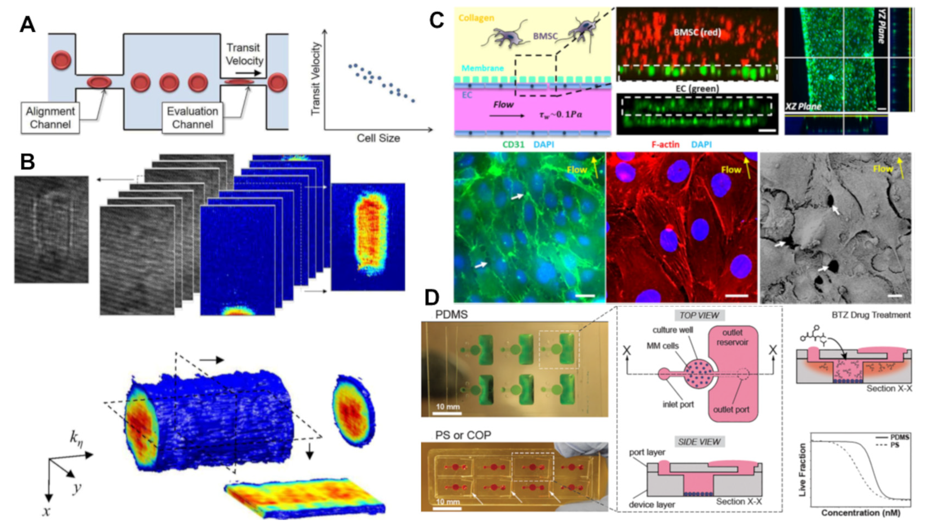 Cancers 16 00889 g003