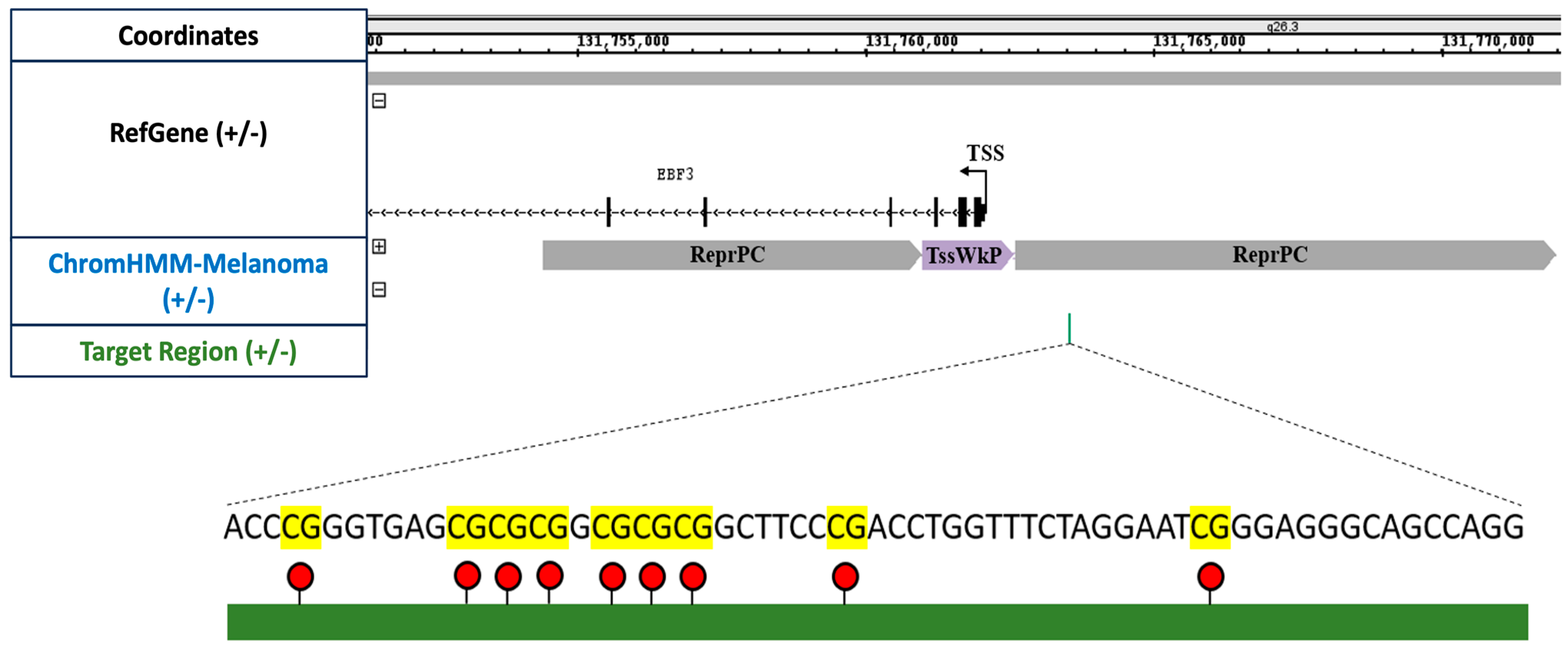 Cancers 16 00898 g002