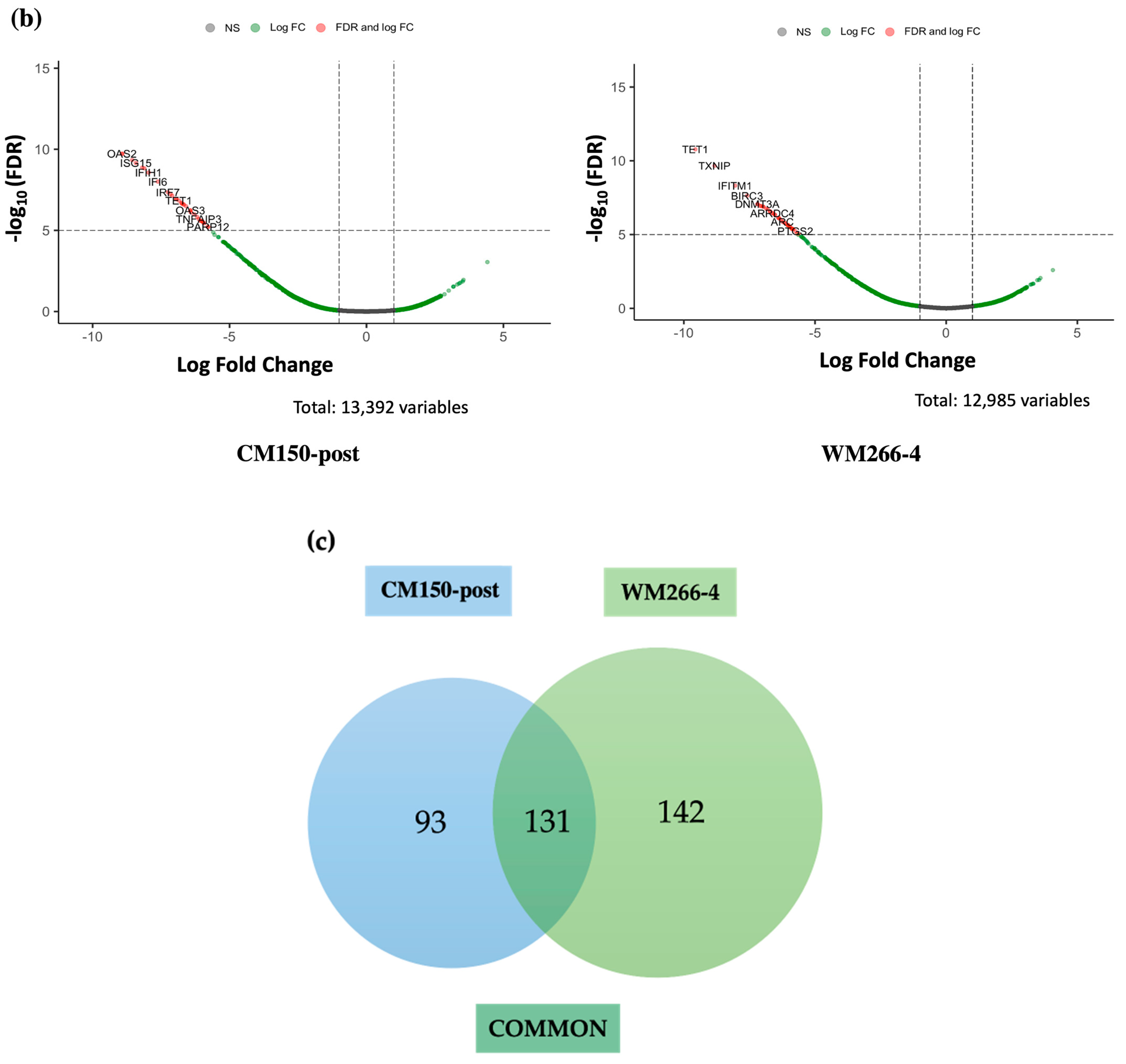 Cancers 16 00898 g006b