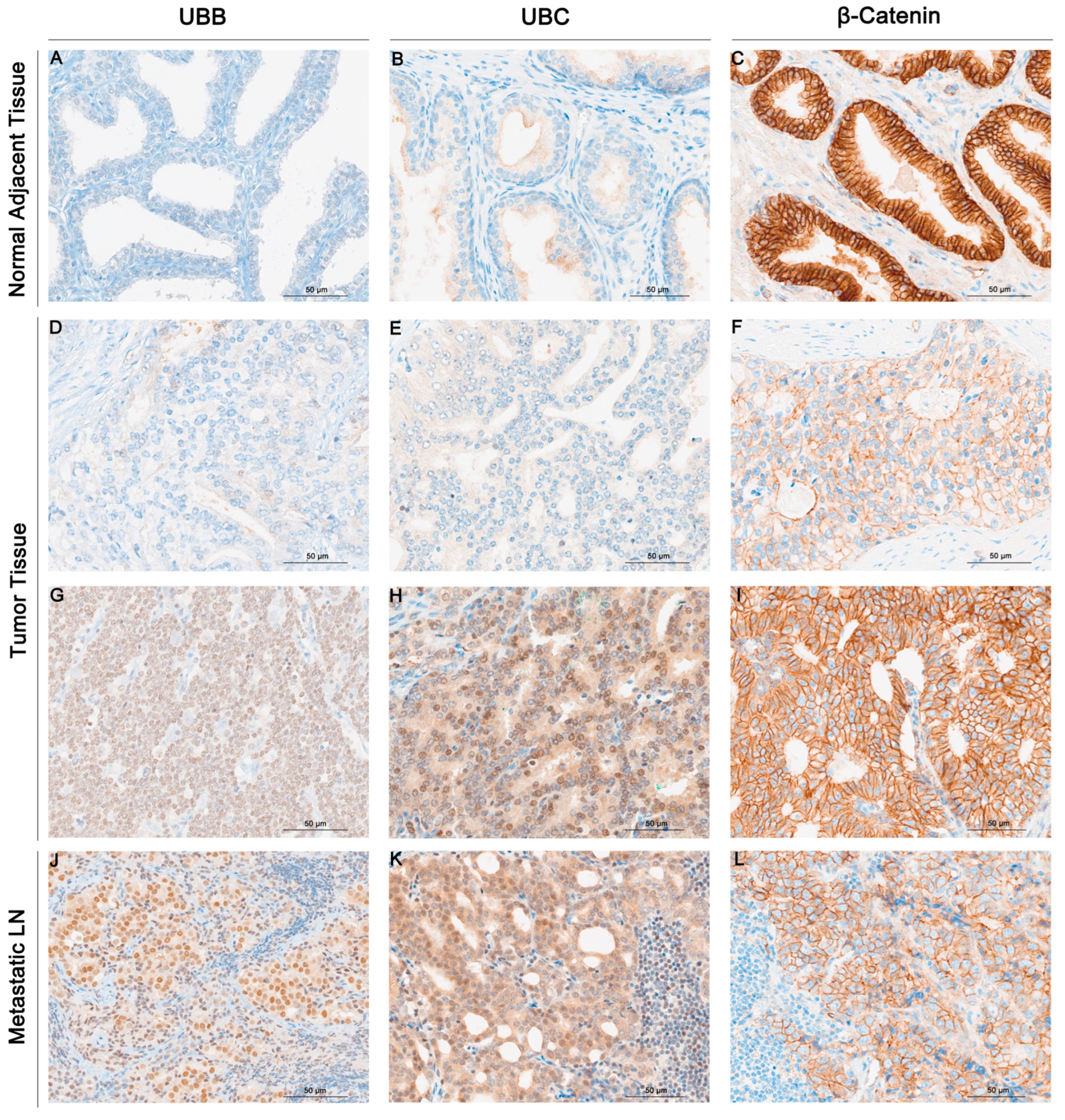 Cancers 16 00902 g001