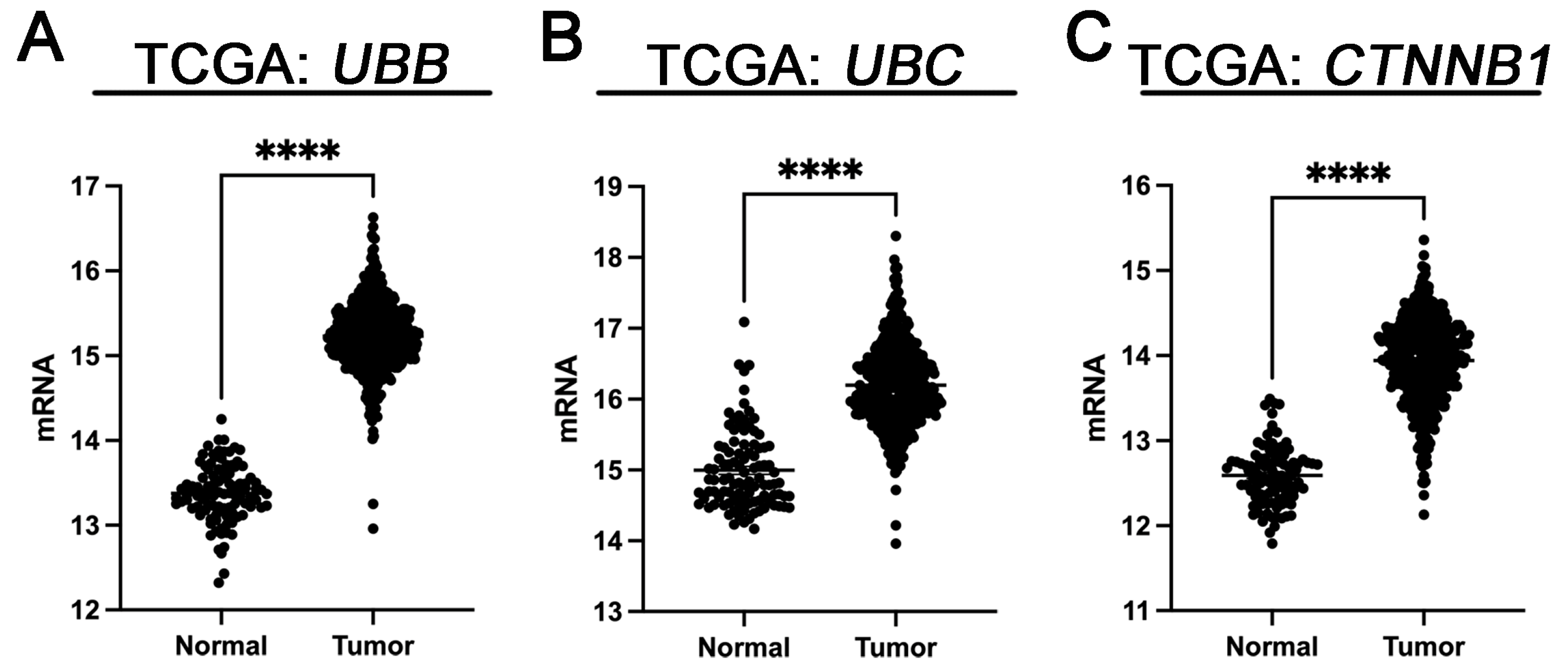 Cancers 16 00902 g006