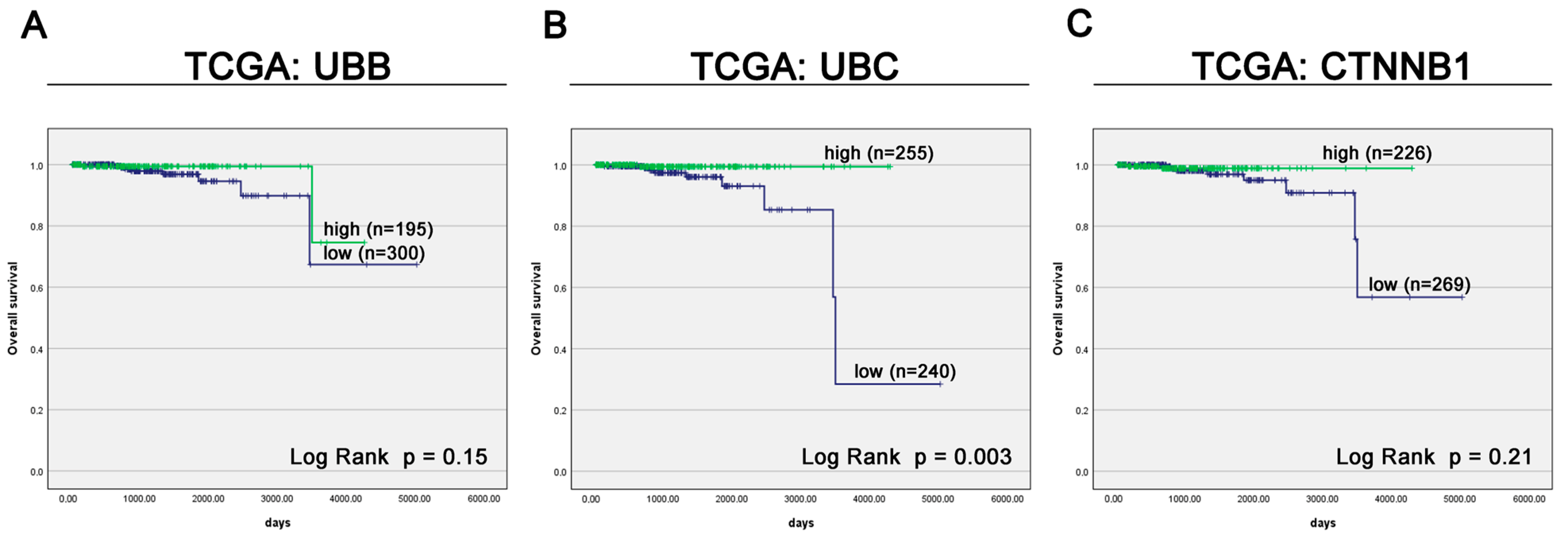 Cancers 16 00902 g007