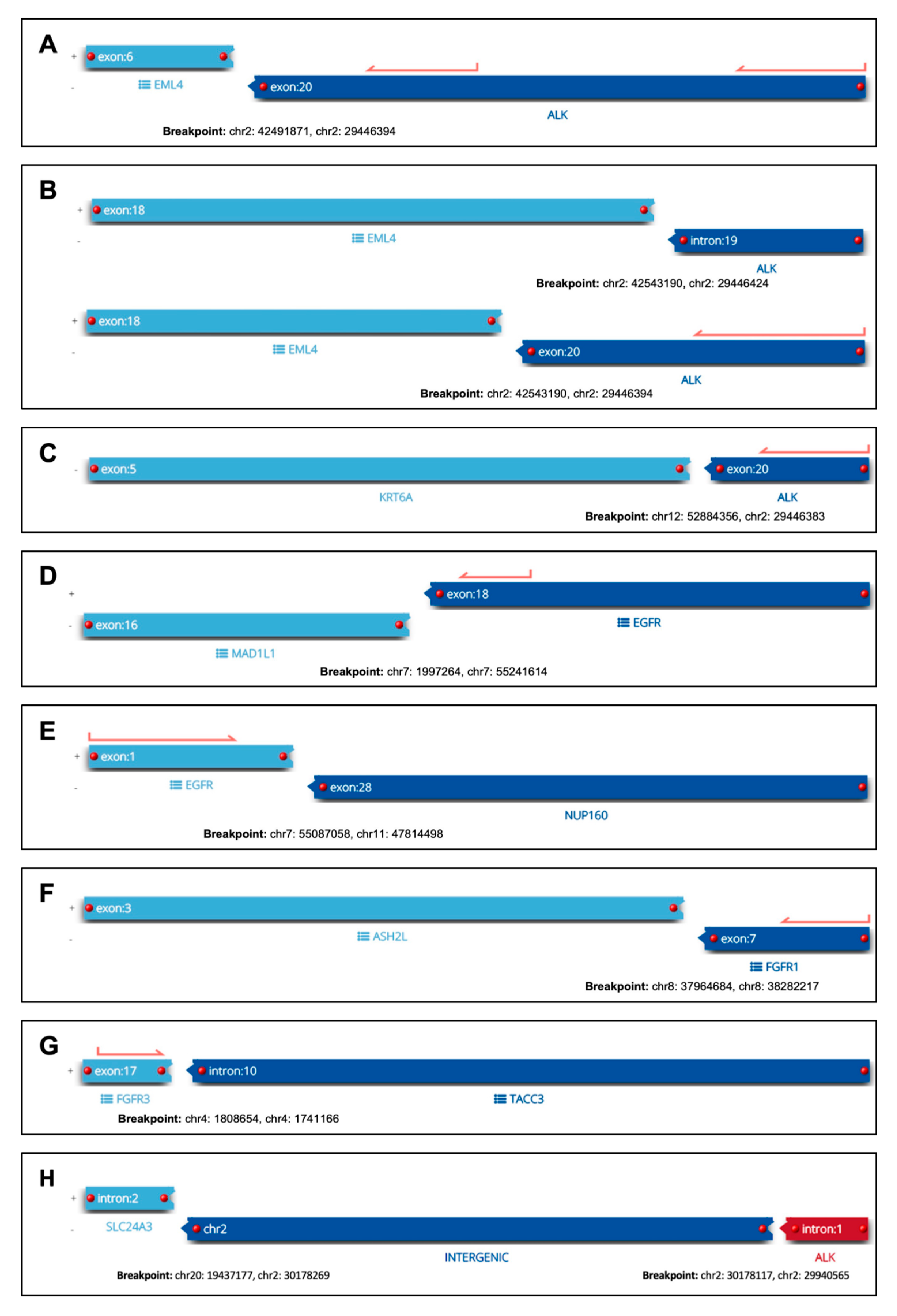 Cancers 16 00903 g002 Cancers 16 00903 g002