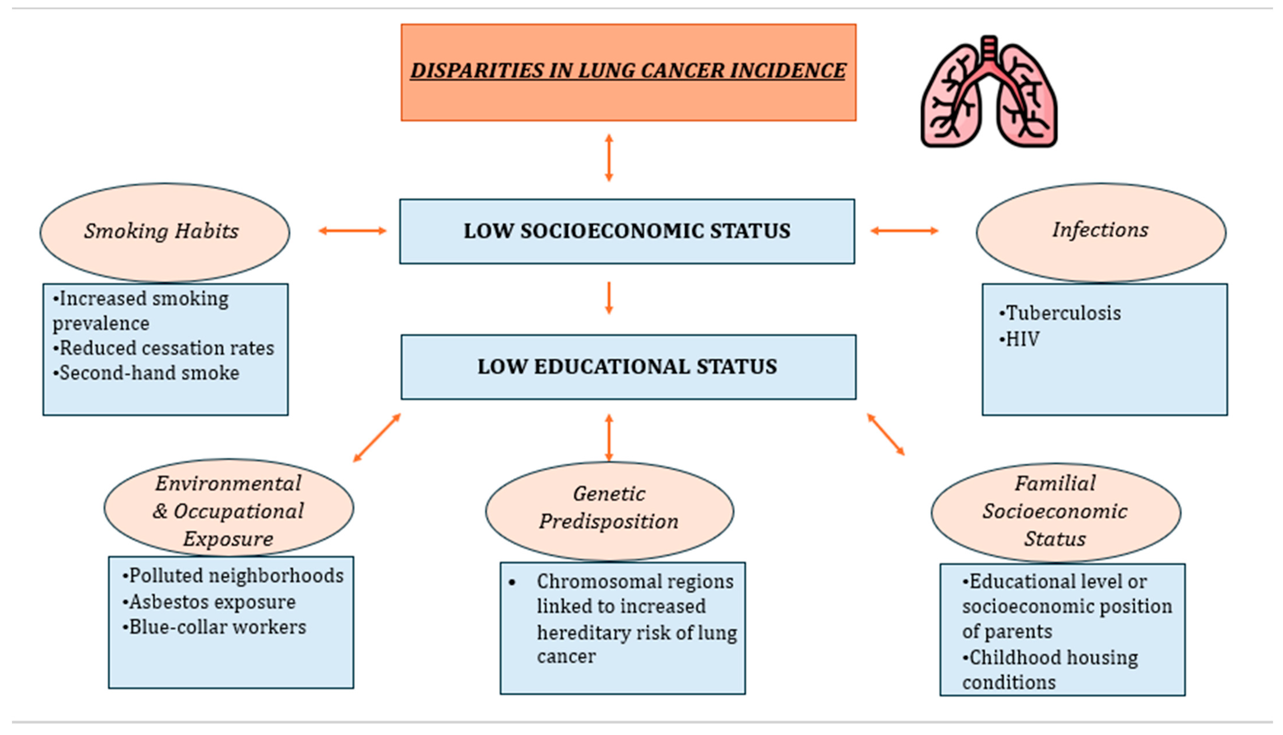 Cancers 16 00906 g001