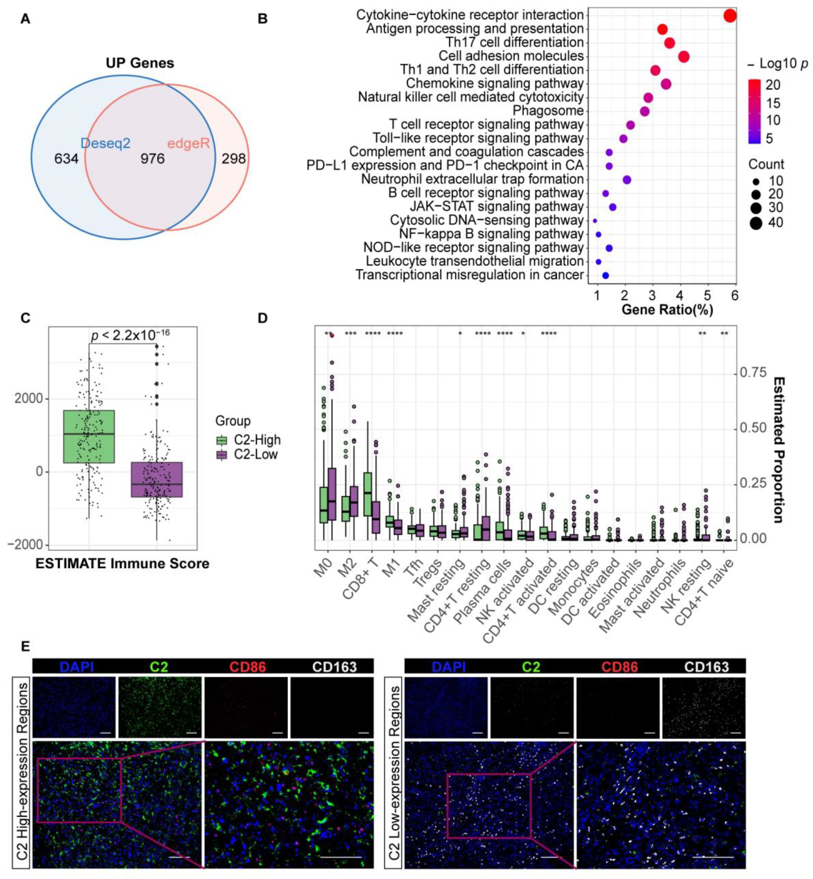 Cancers 16 00908 g002
