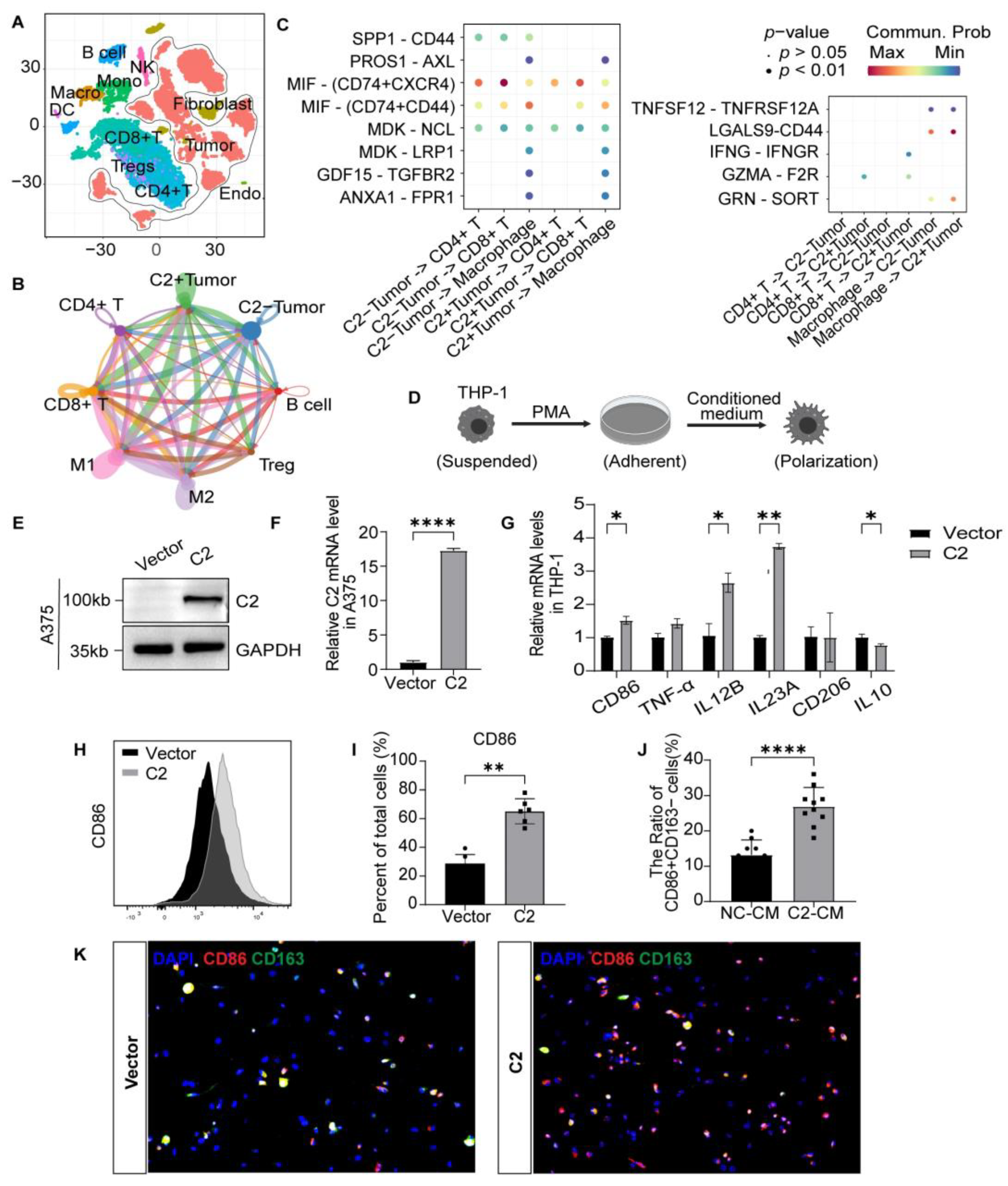 Cancers 16 00908 g004