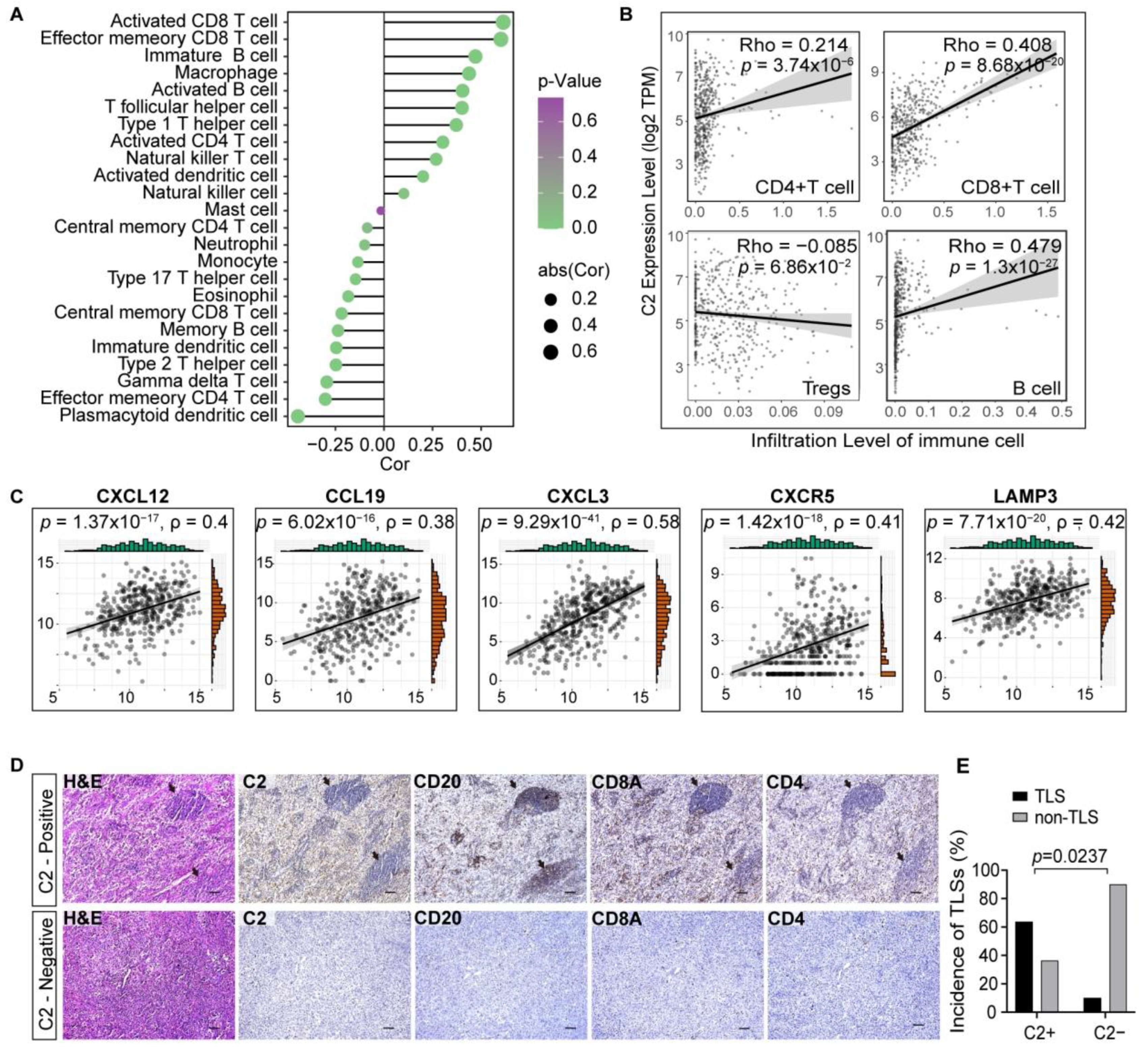 Cancers 16 00908 g005