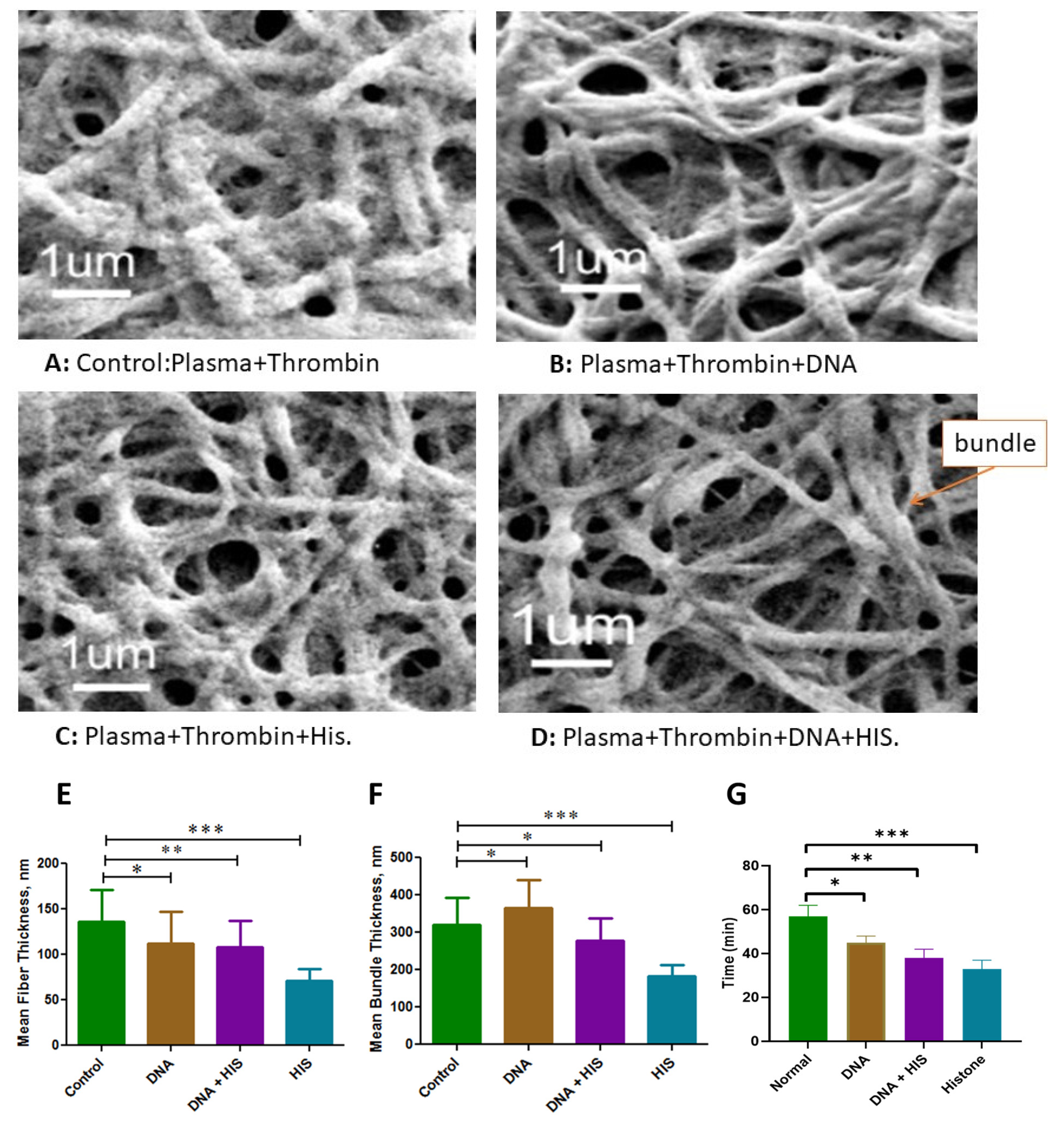 Cancers 16 00928 g002