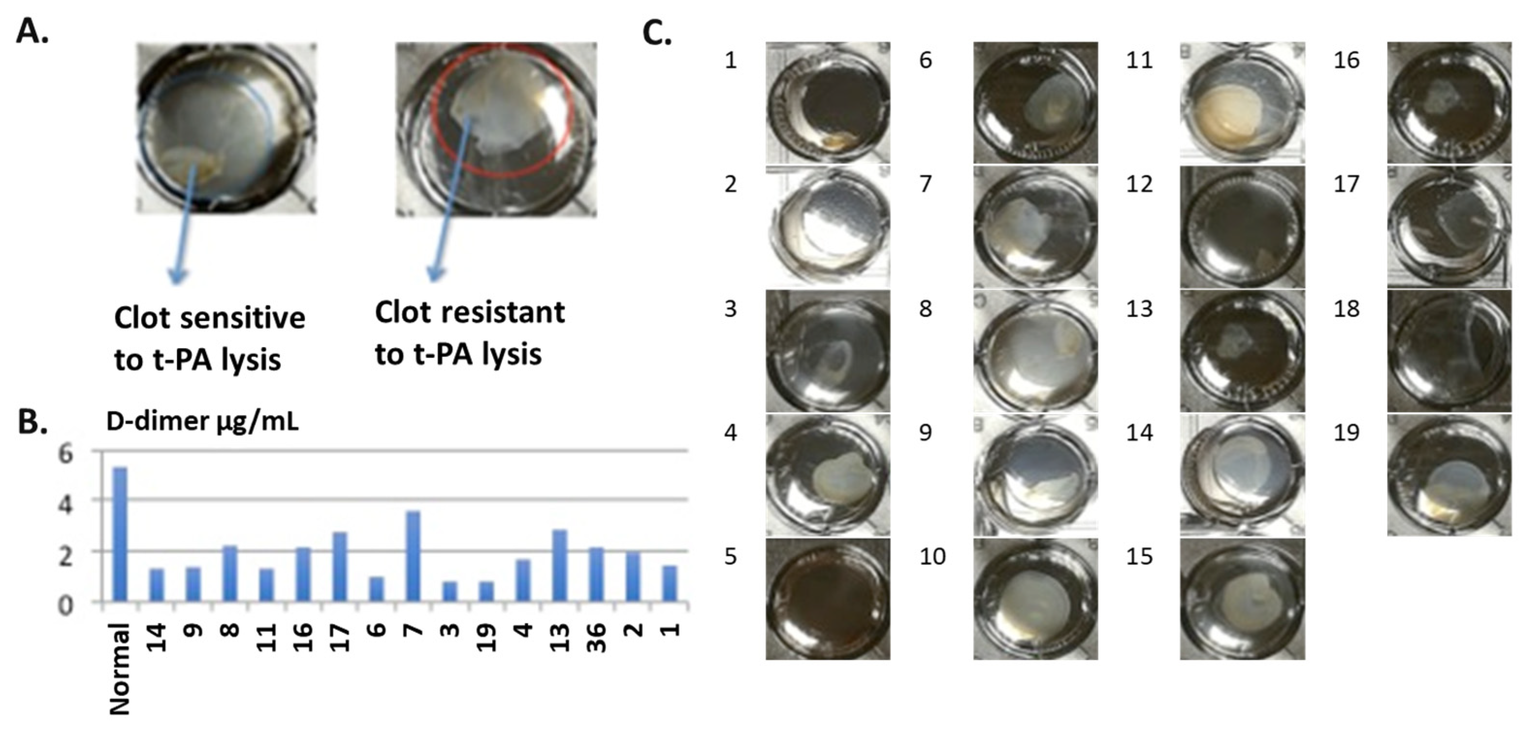 Cancers 16 00928 g008