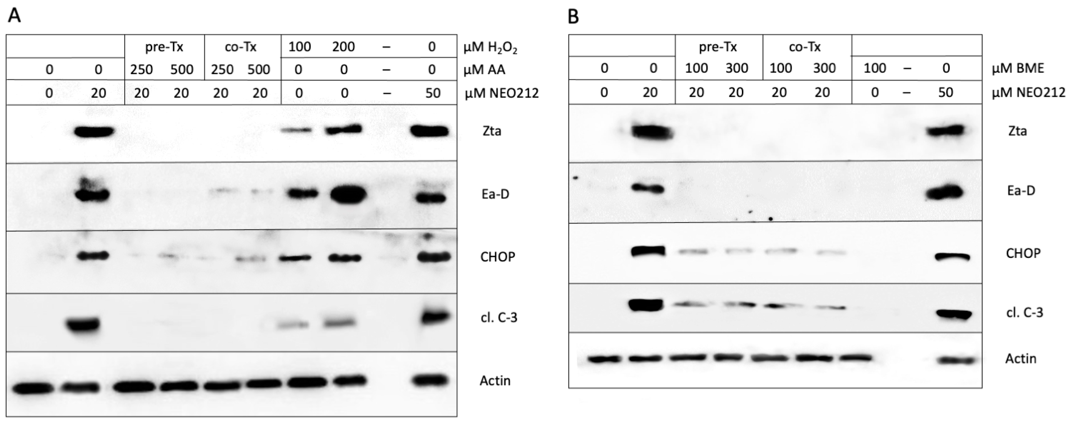 Cancers 16 00936 g008 Cancers 16 00936 g008