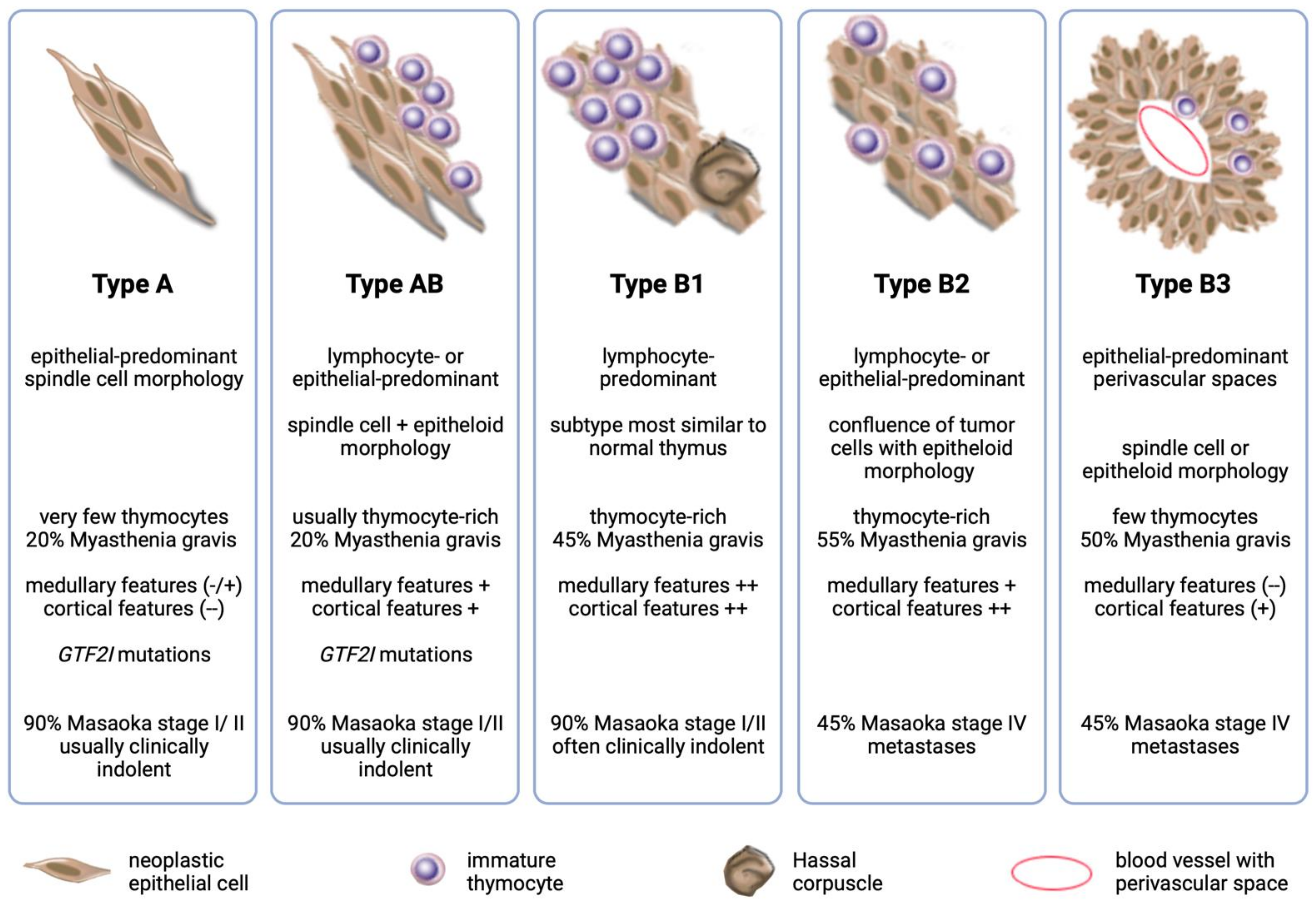 Cancers 16 00942 g001