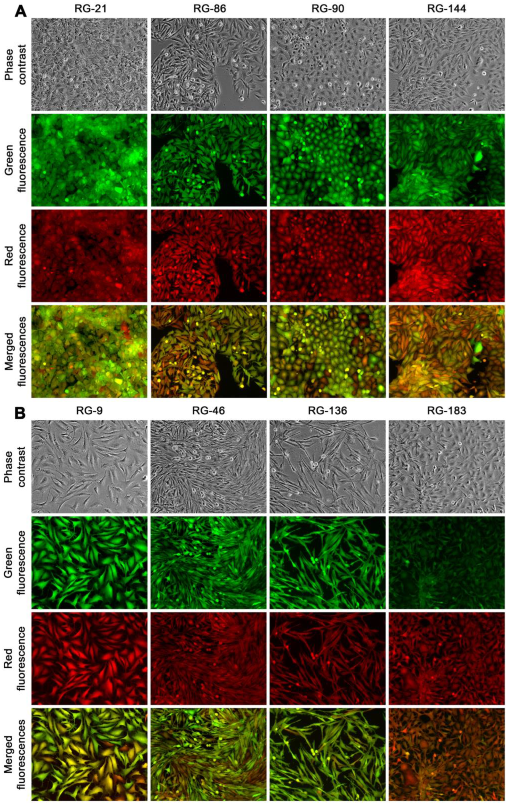 Cancers 16 00951 g008