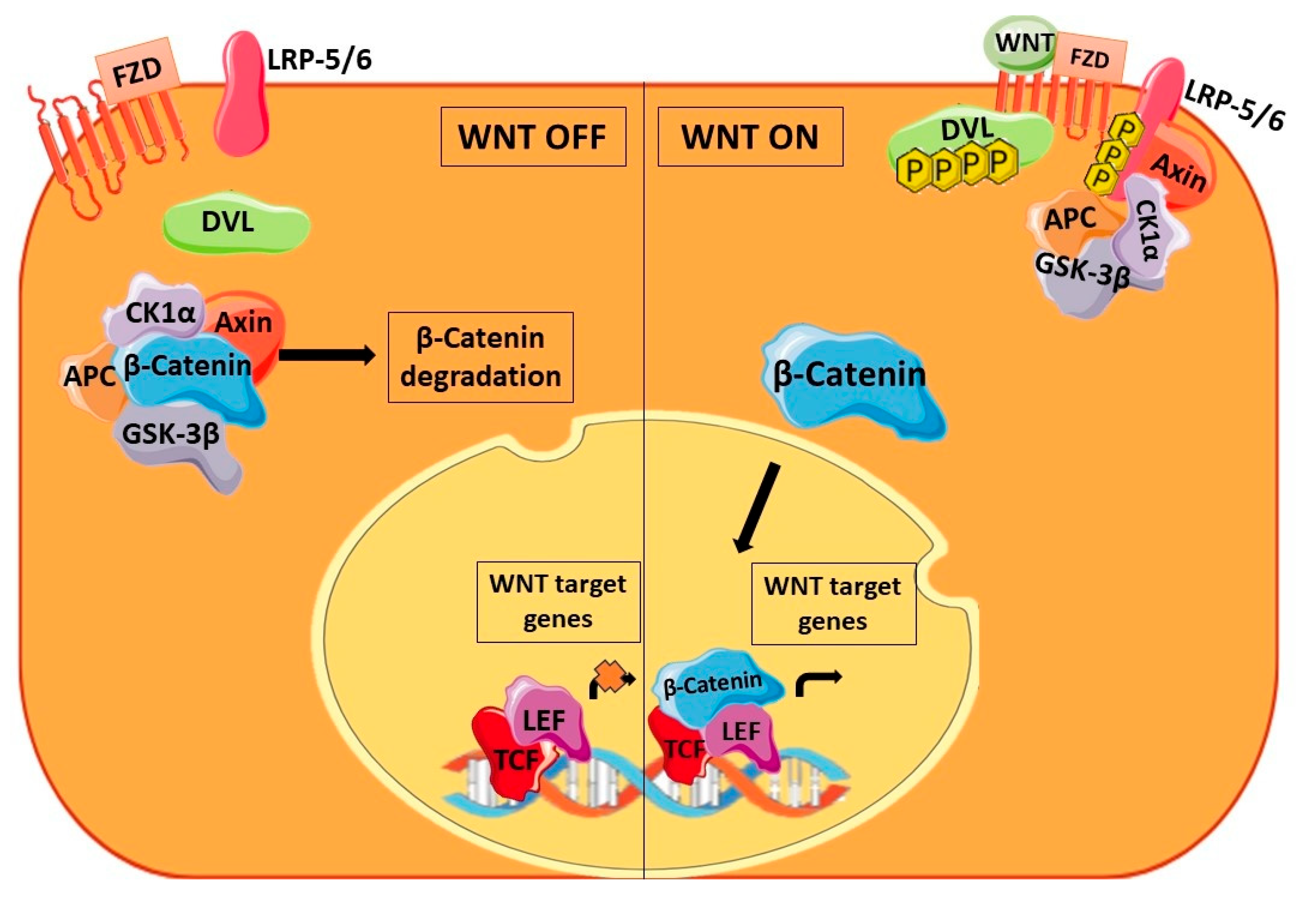 Cancers 16 00957 g004